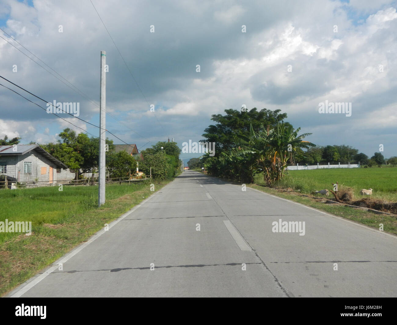 The landscape of Salapungan, Candaba, Pampanga, features vast paddy ...