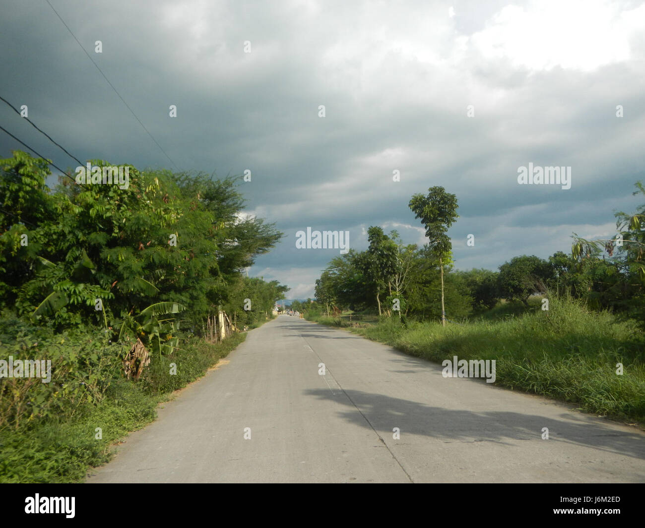 This image highlights the rural landscape of Magumbali, Candaba in ...
