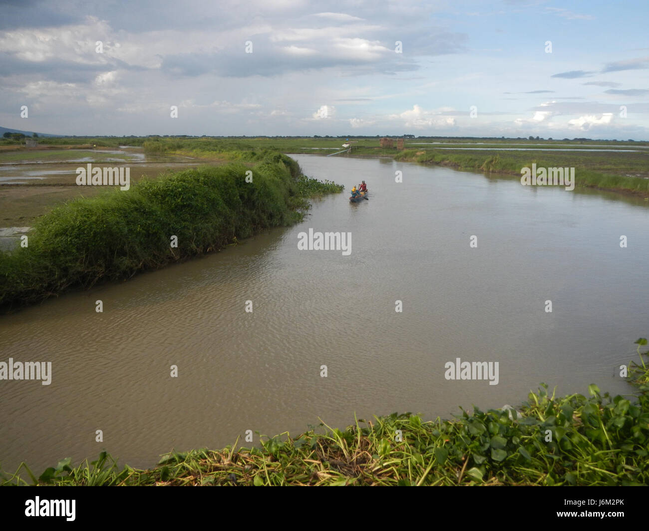 This image captures the rural landscape of Candaba, Pampanga, focusing ...