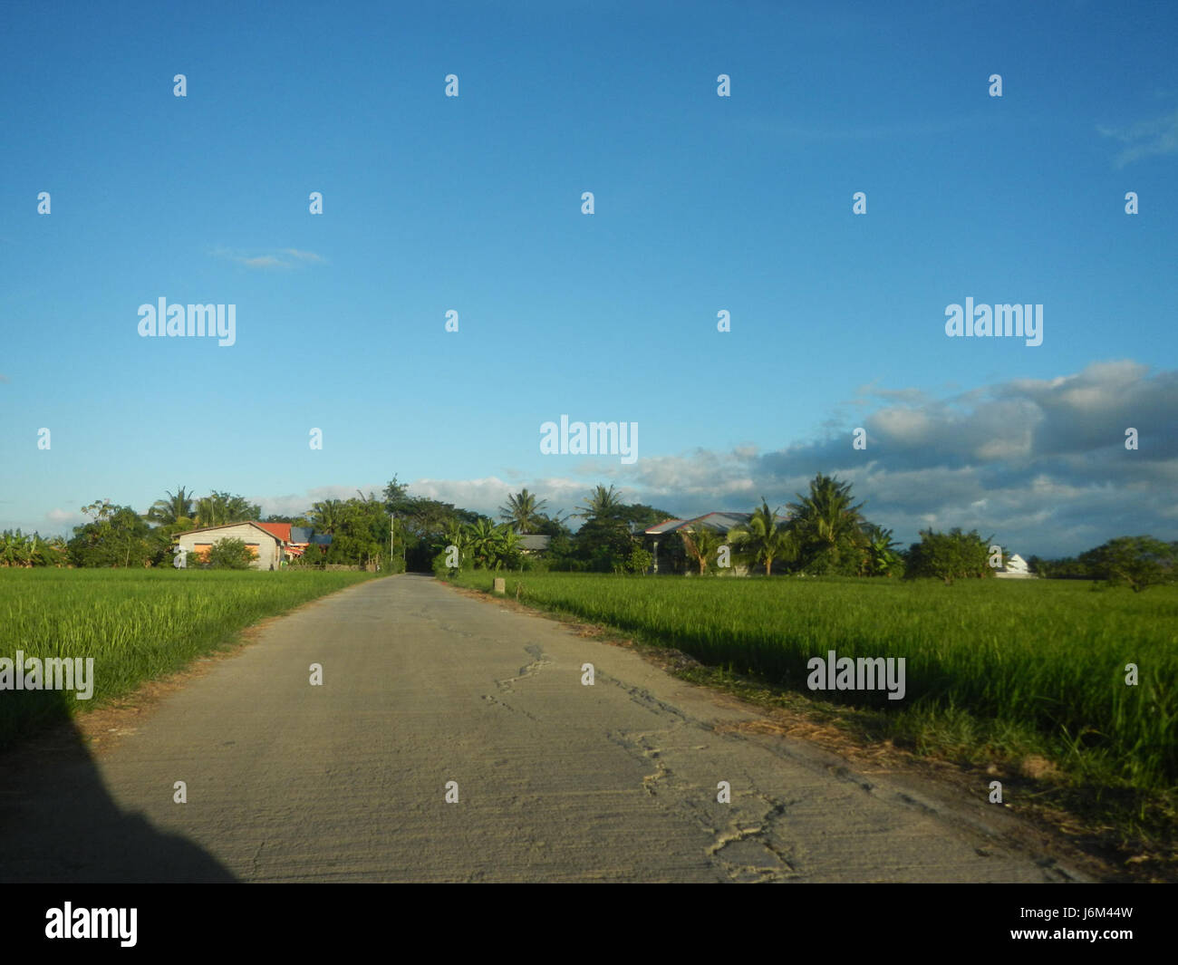 The image shows a rural area in Candaba, Pampanga, Philippines ...