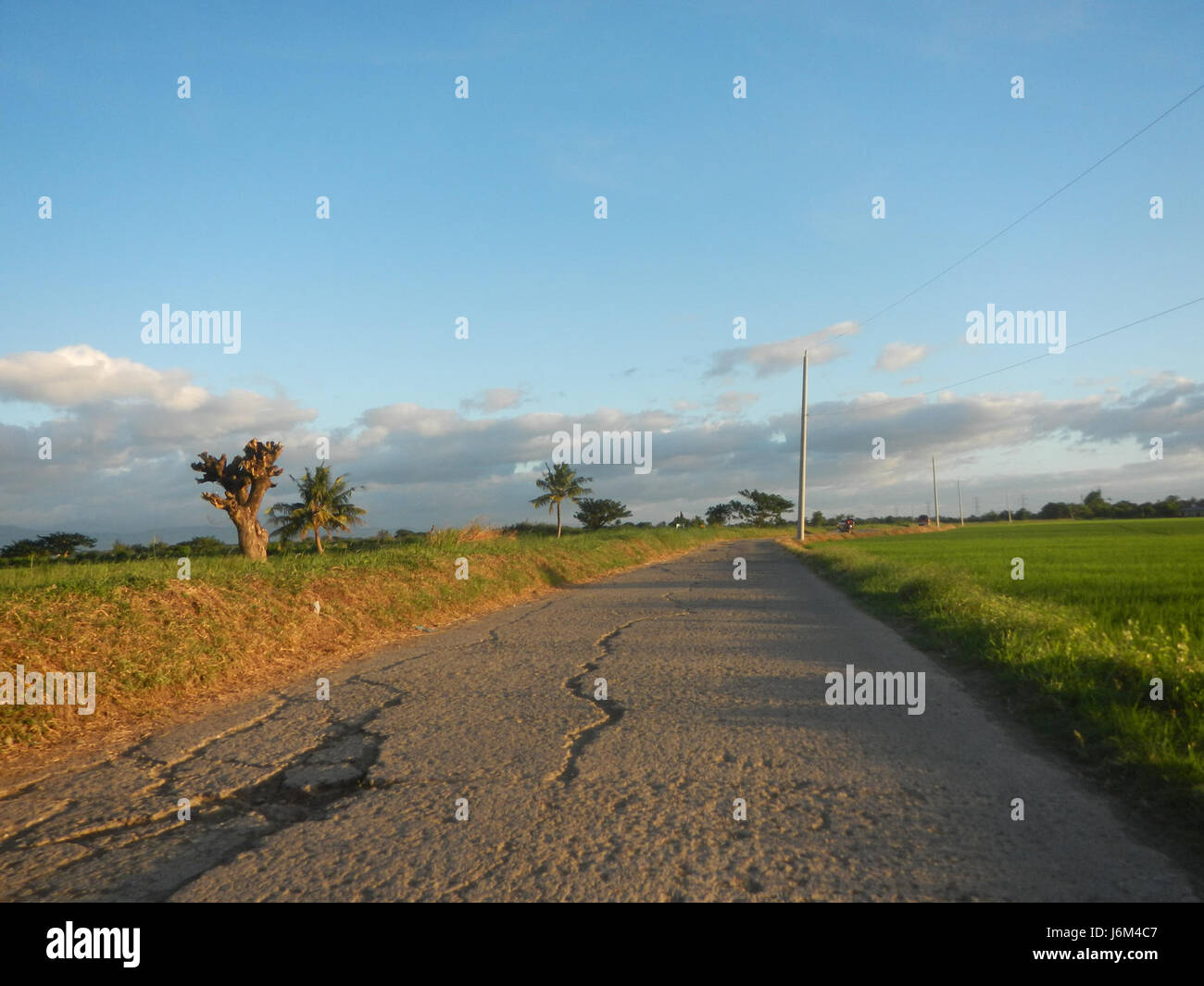 A geographic reference detailing various features of Candaba, Pampanga ...