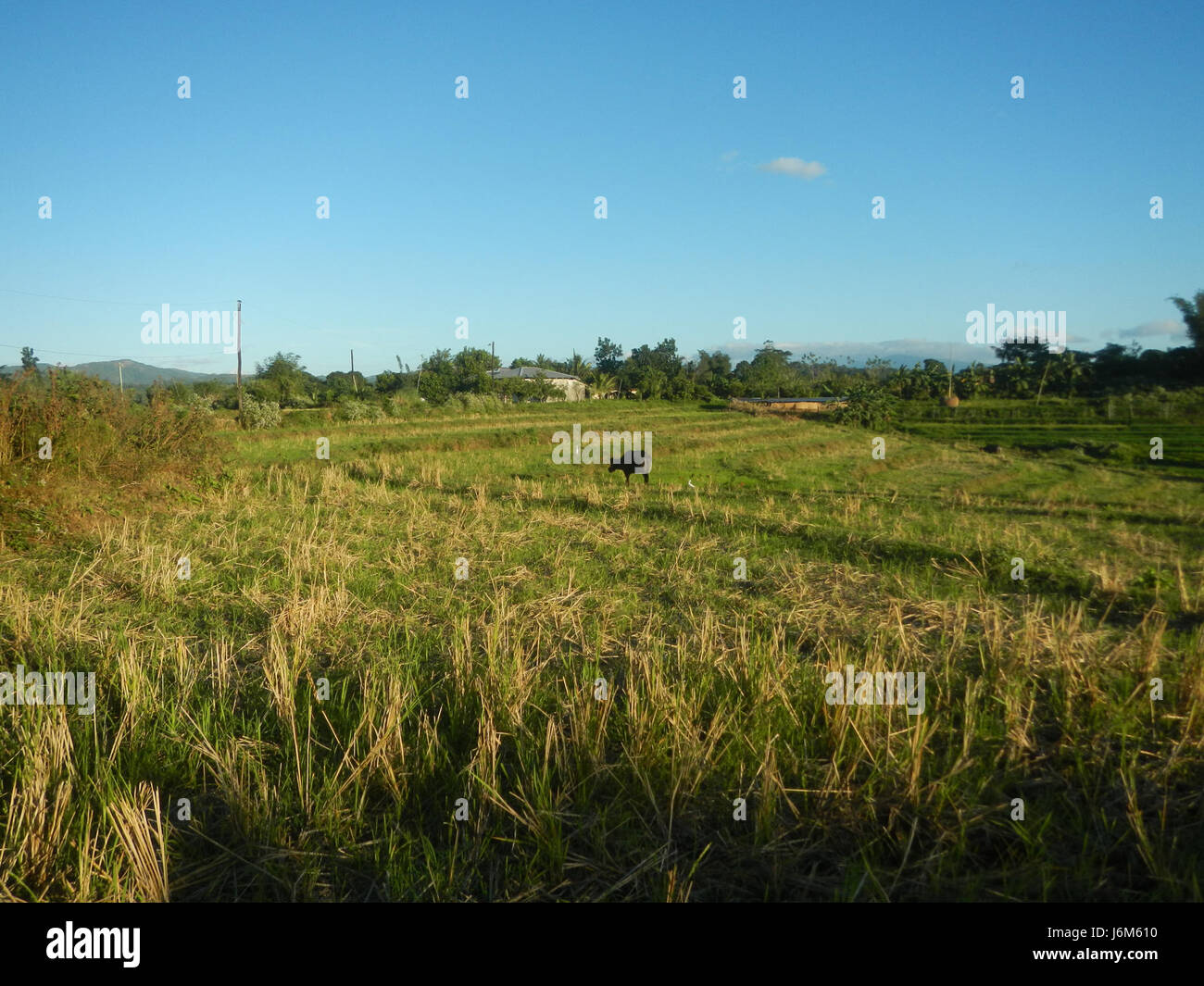 0627 Sapang Pahalang, San Rafael, Bulacan 15 Stock Photo - Alamy