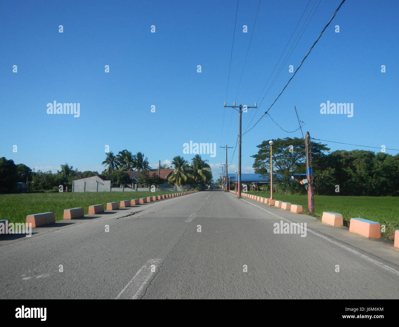 08883 Balucuc Apalit Pampanga paddy fields grasslands trees irrigation ...