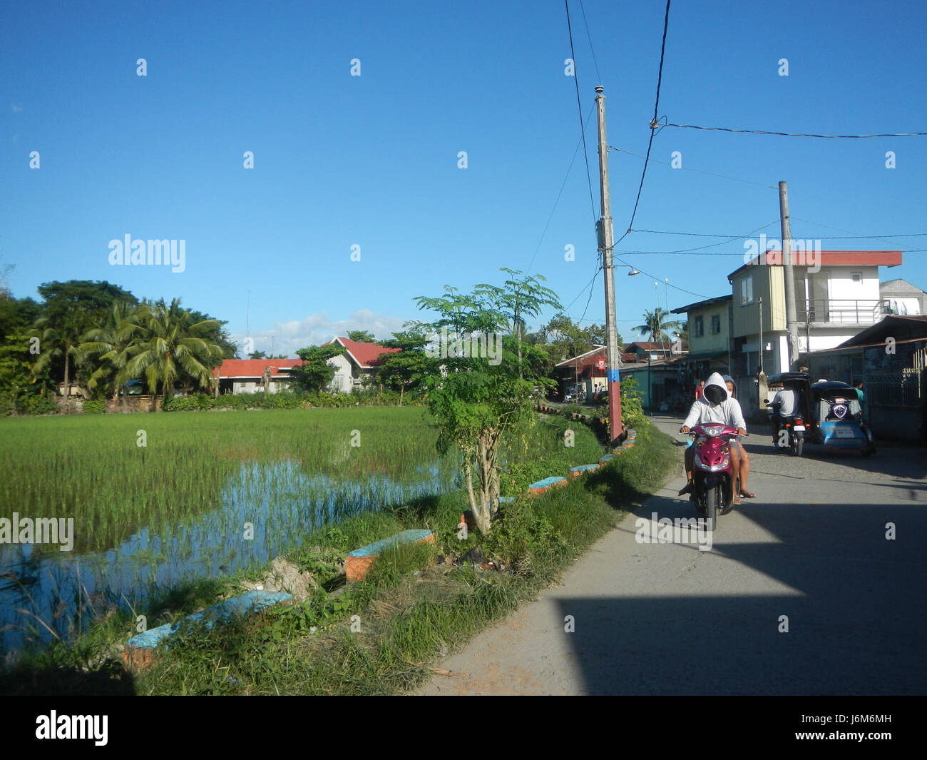 08912 Balucuc Apalit Pampanga paddy fields grasslands trees irrigation ...