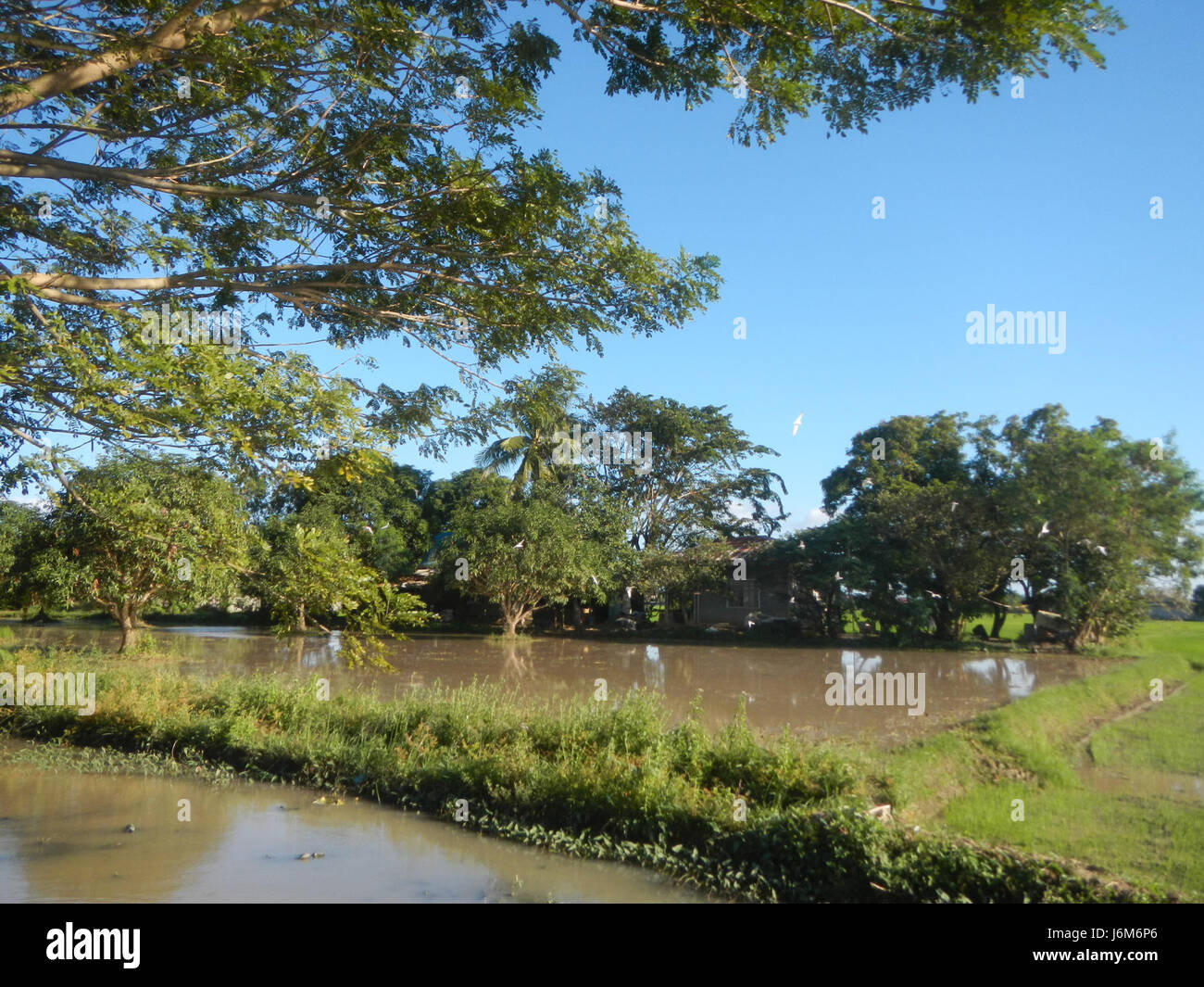 Balucuc, located in Apalit, Pampanga, is known for its agricultural ...