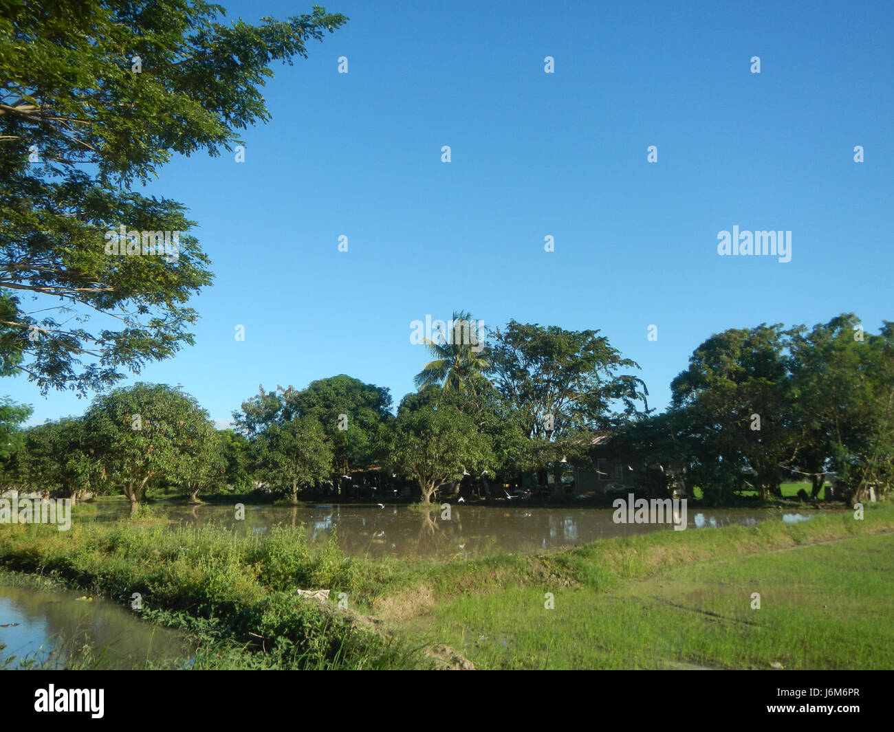 A scenic photograph of the Balucuc area in Apalit, Pampanga, capturing ...