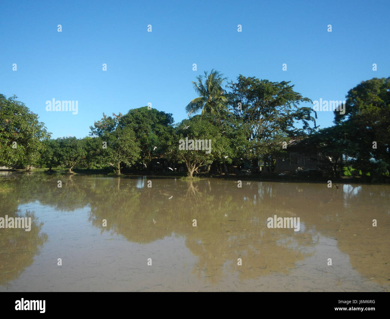 Balucuc, located in Apalit, Pampanga, is known for its expansive paddy ...