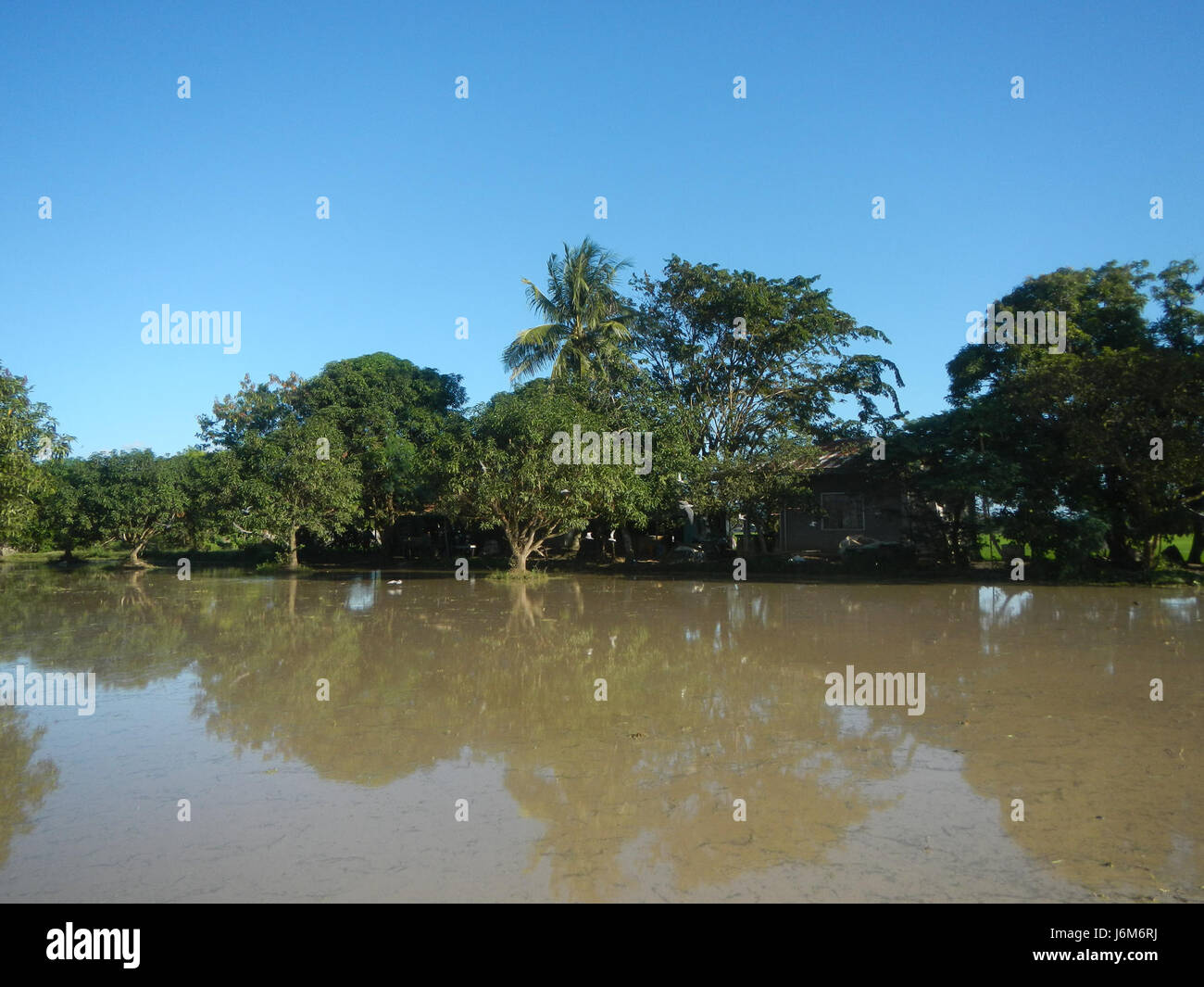 This image captures the paddy fields and grasslands of Balucuc, Apalit ...