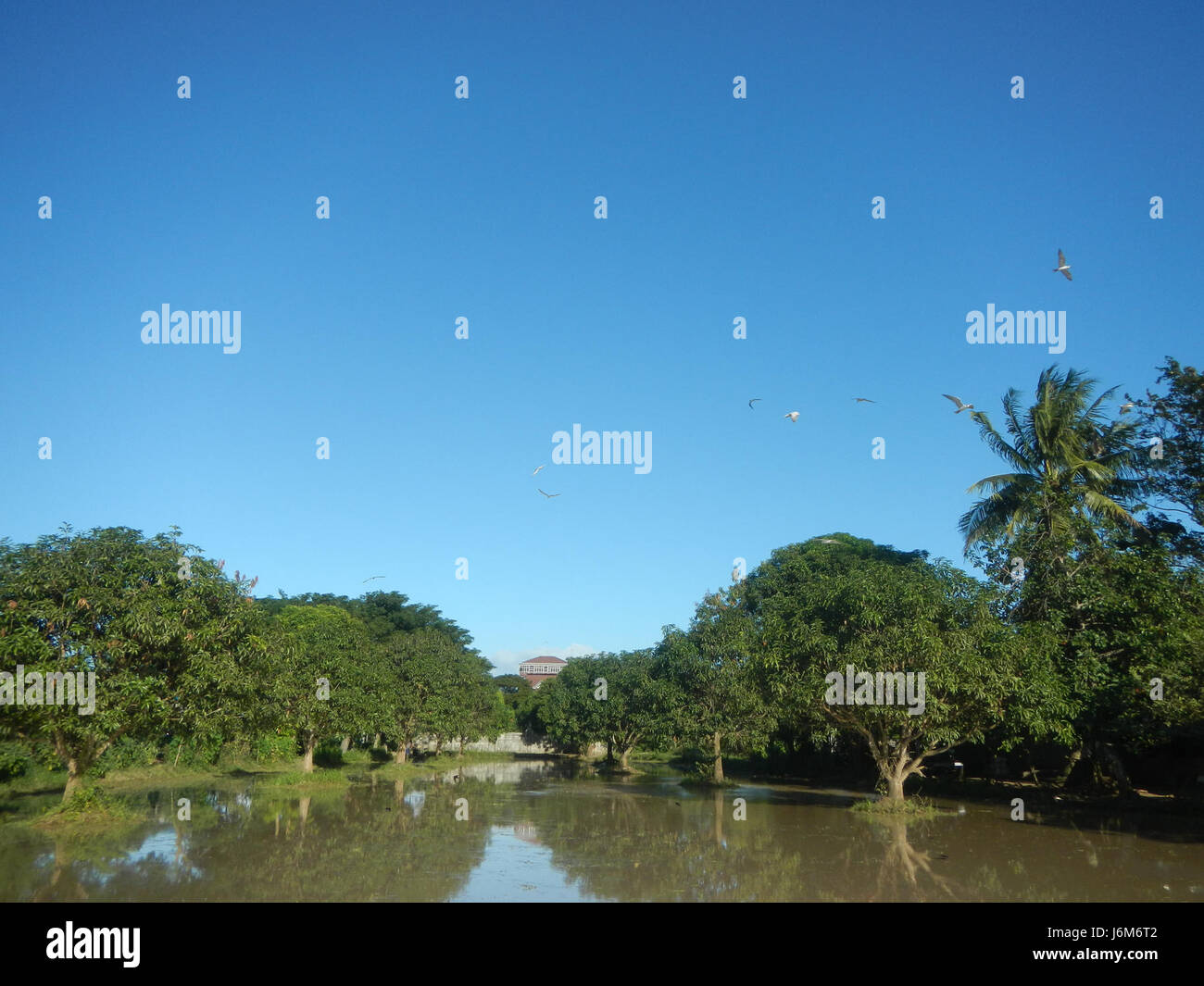 Balucuc, Apalit in Pampanga, Philippines, is known for its expansive ...