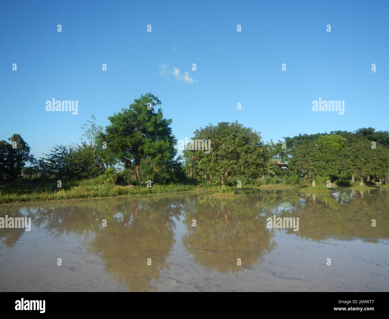 This refers to the agricultural area of Balucuc, Apalit, Pampanga ...