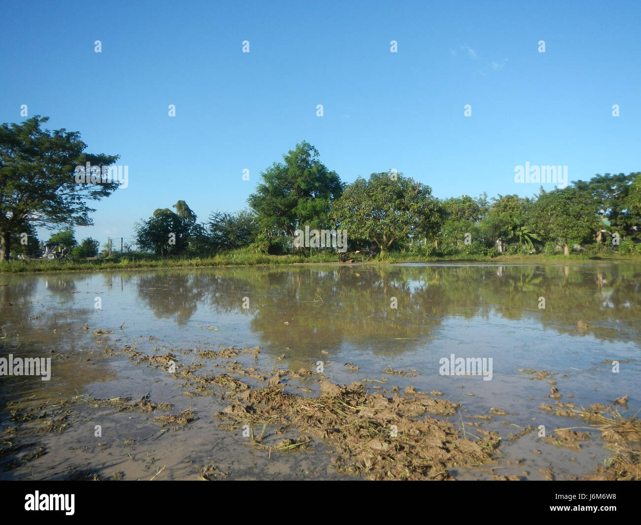 This image captures a scene from Balucuc, Apalit in Pampanga ...