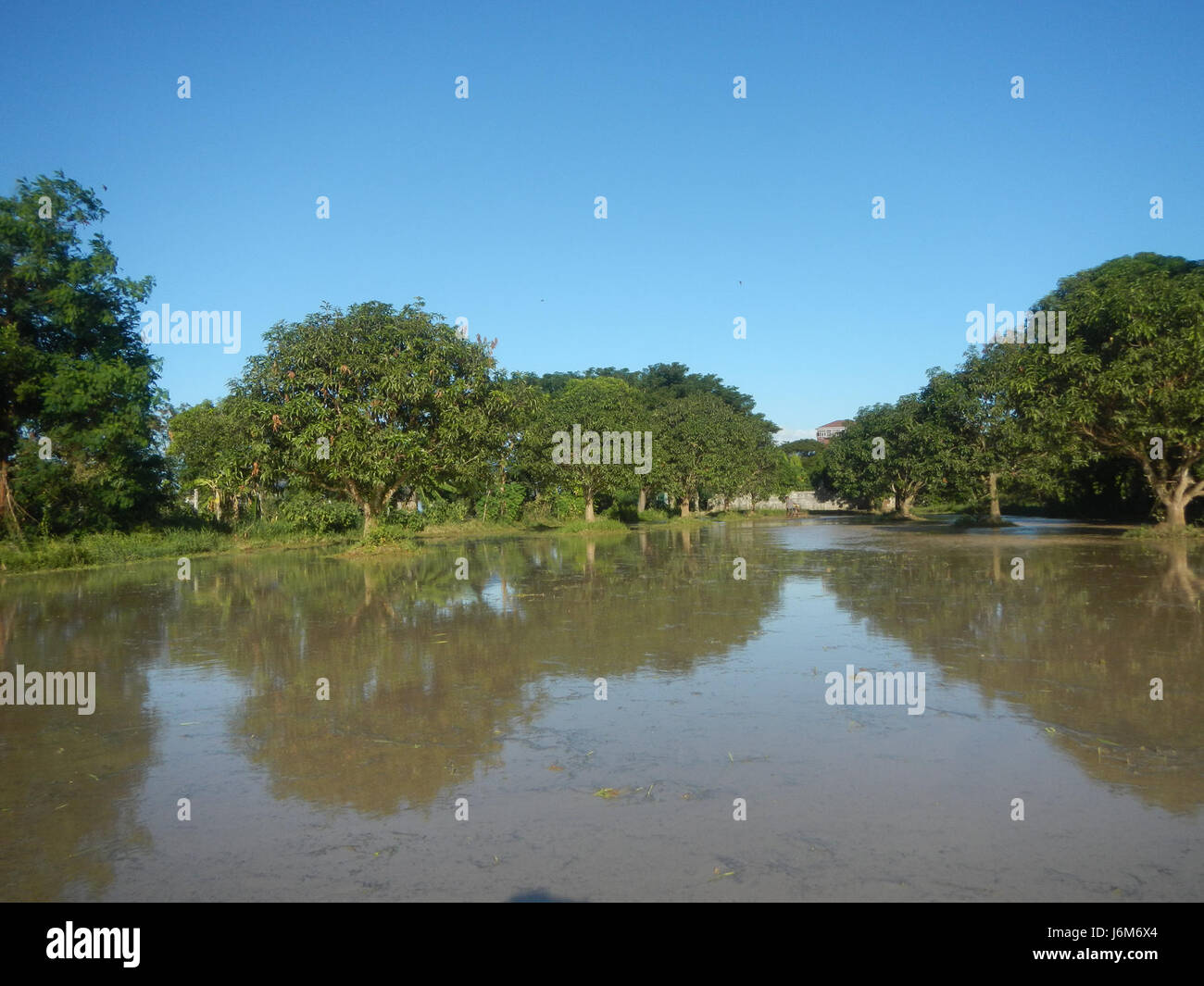 This image captures a rural scene in Balucuc, Apalit, Pampanga, showing ...