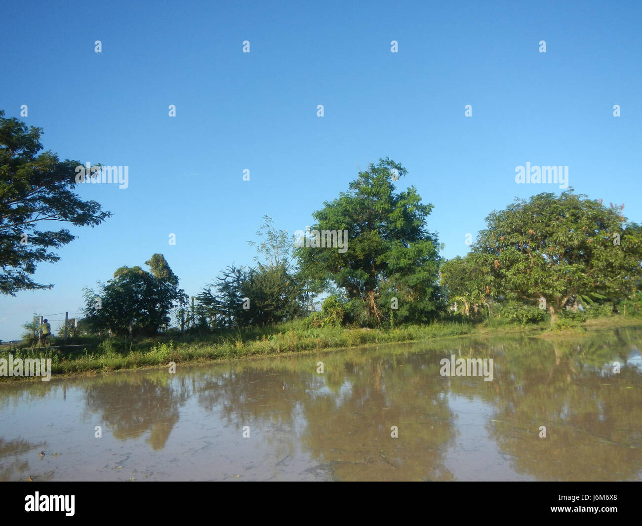 This refers to the rural agricultural scene in Balucuc, Apalit ...