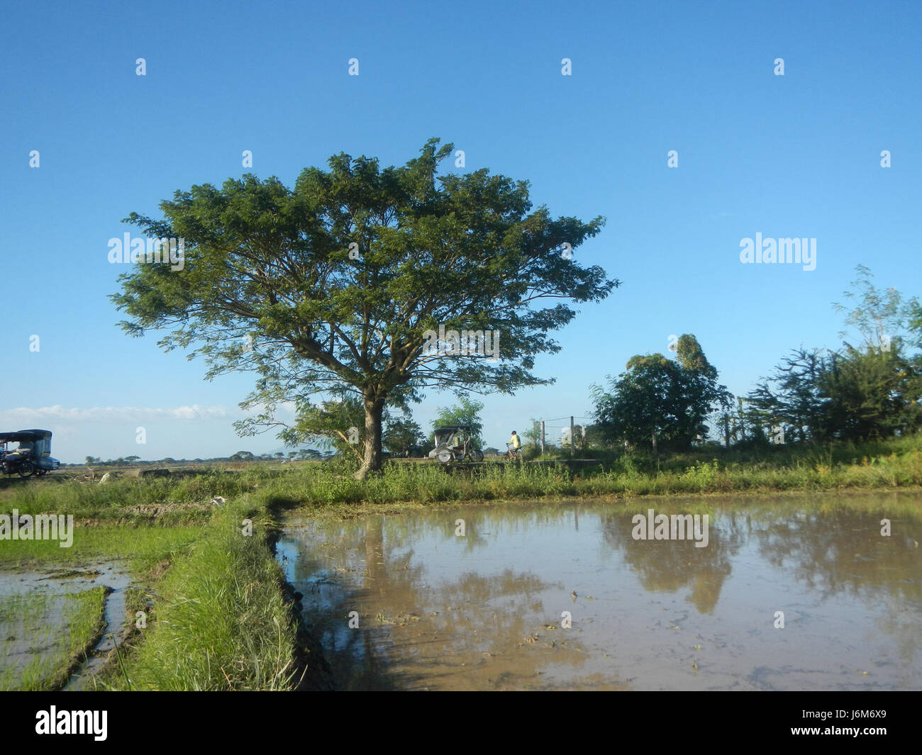 This photograph captures the rural landscape of Balucuc, Apalit ...