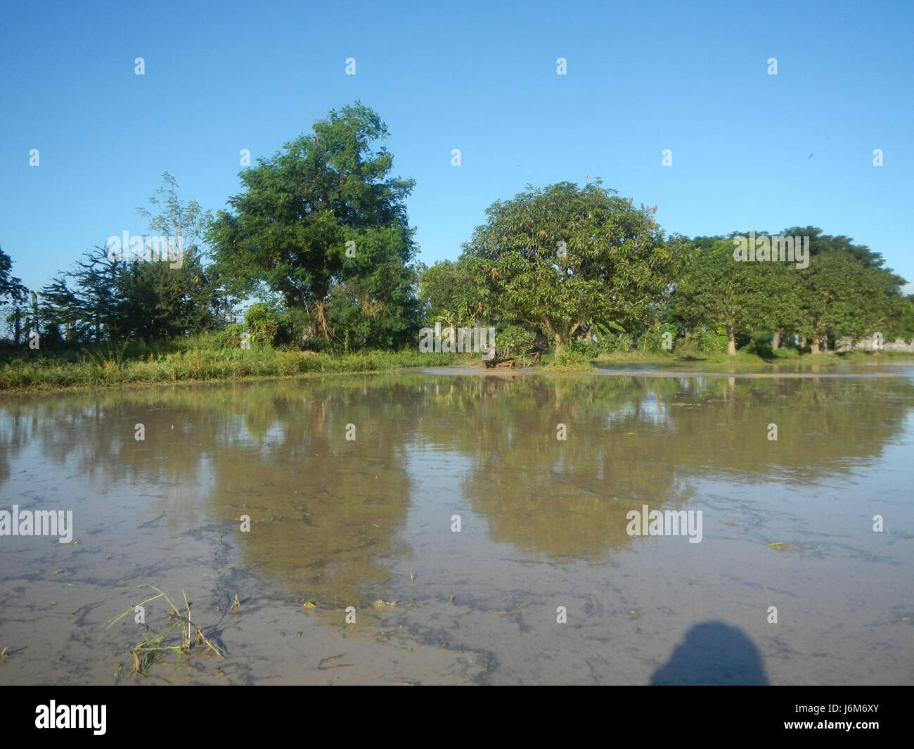 A photograph capturing the rural scene of Balucuc in Apalit, Pampanga ...
