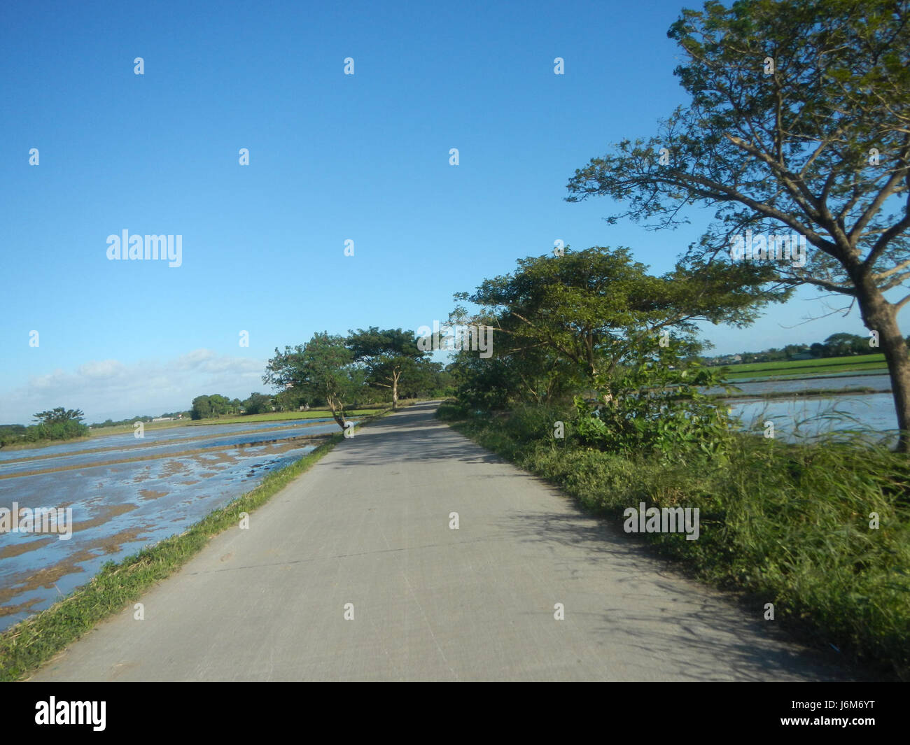 This image captures the agricultural practices in Balucuc, Apalit ...