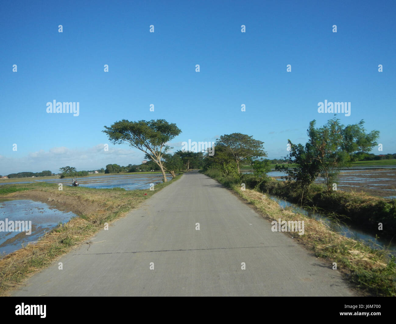 A photo of farmers plowing paddy fields with irrigation canals in ...