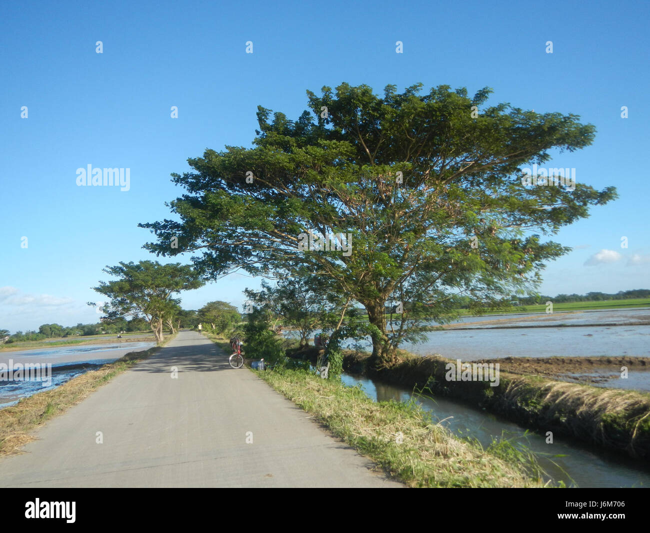 This photograph captures the rural landscape of Balucuc in Apalit ...