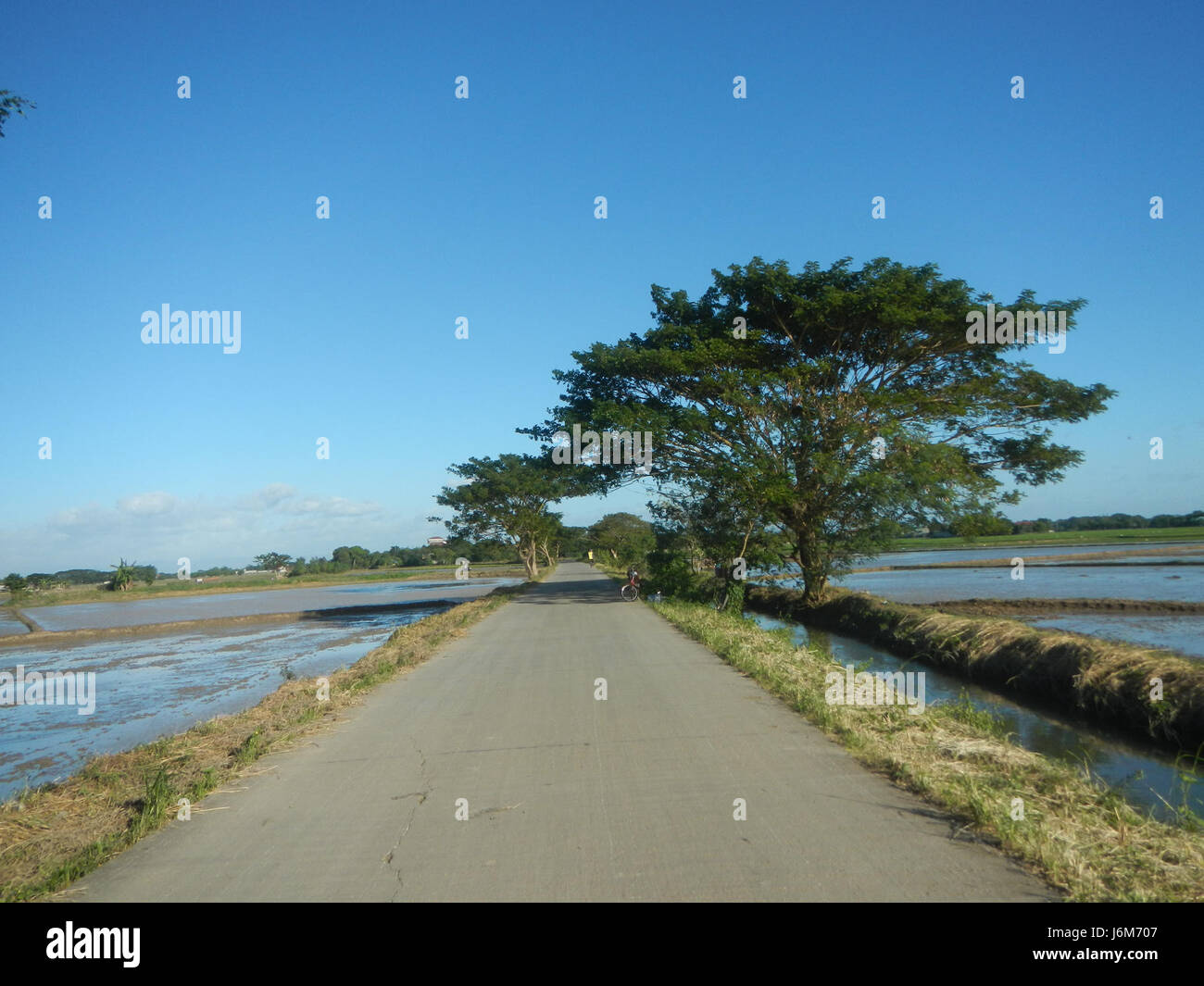 A rural scene in Balucuc, Apalit, Pampanga, showing the plowing of ...