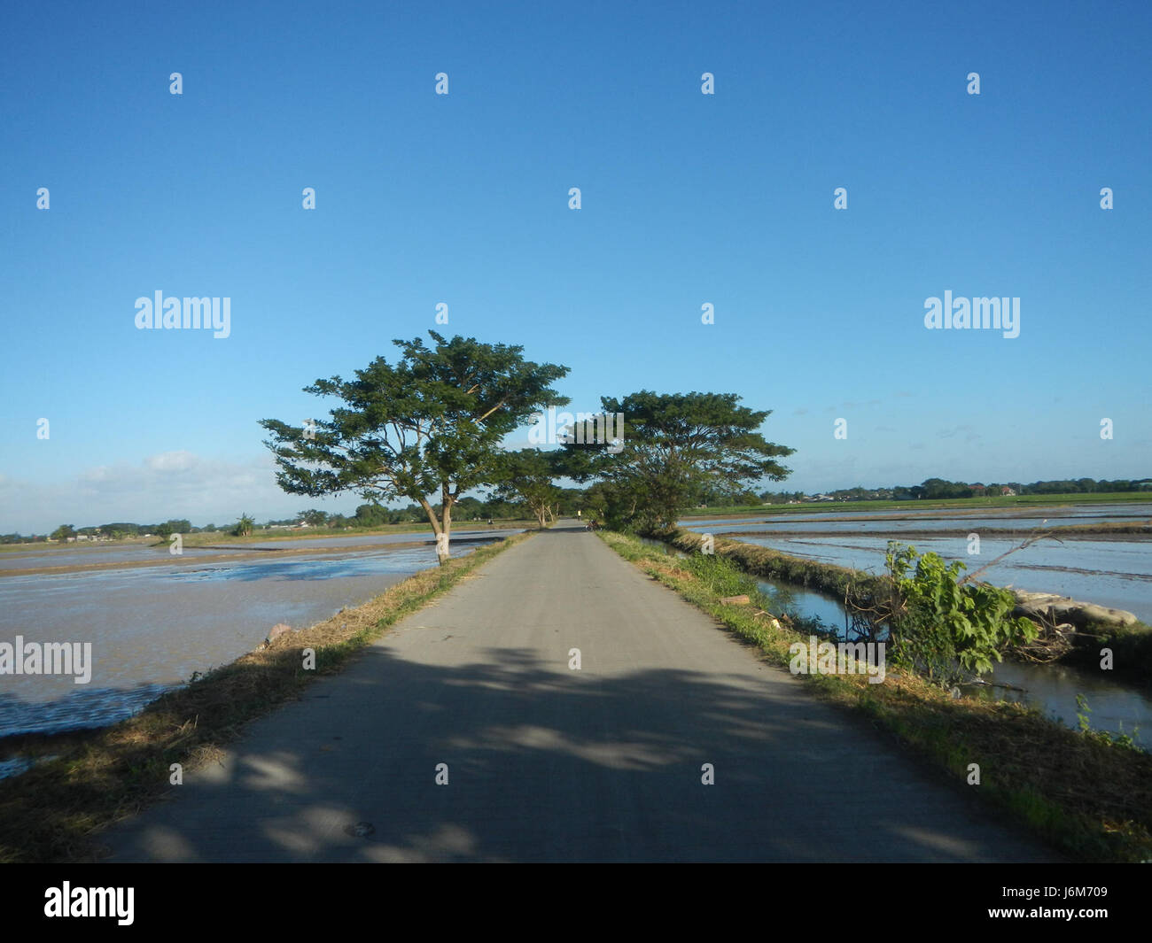 09098 Balucuc Apalit Pampanga plowing paddy fields irrigation flying ...