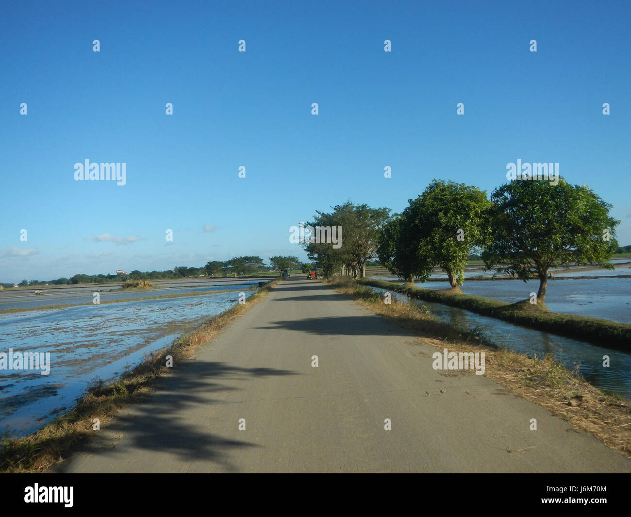 This image captures a rural scene in Balucuc, Apalit, Pampanga, showing ...