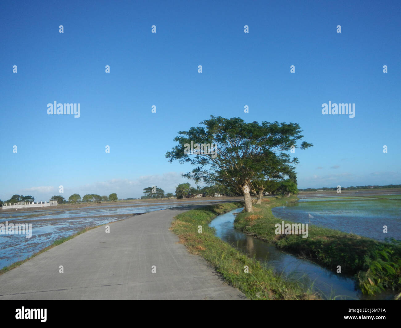 The image depicts agricultural activity in Balucuc, Apalit, Pampanga ...