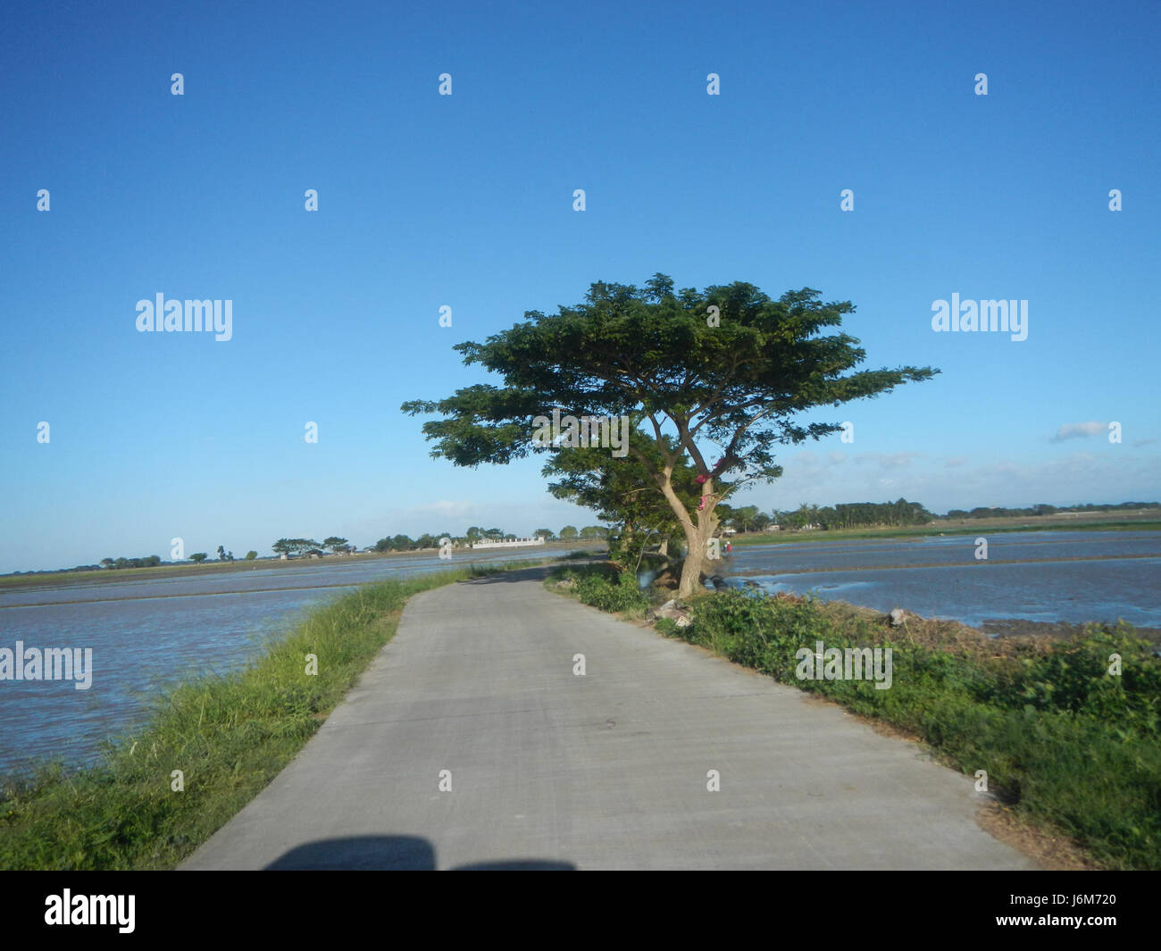 This title refers to the rural areas of Balucuc and Apalit in Pampanga ...
