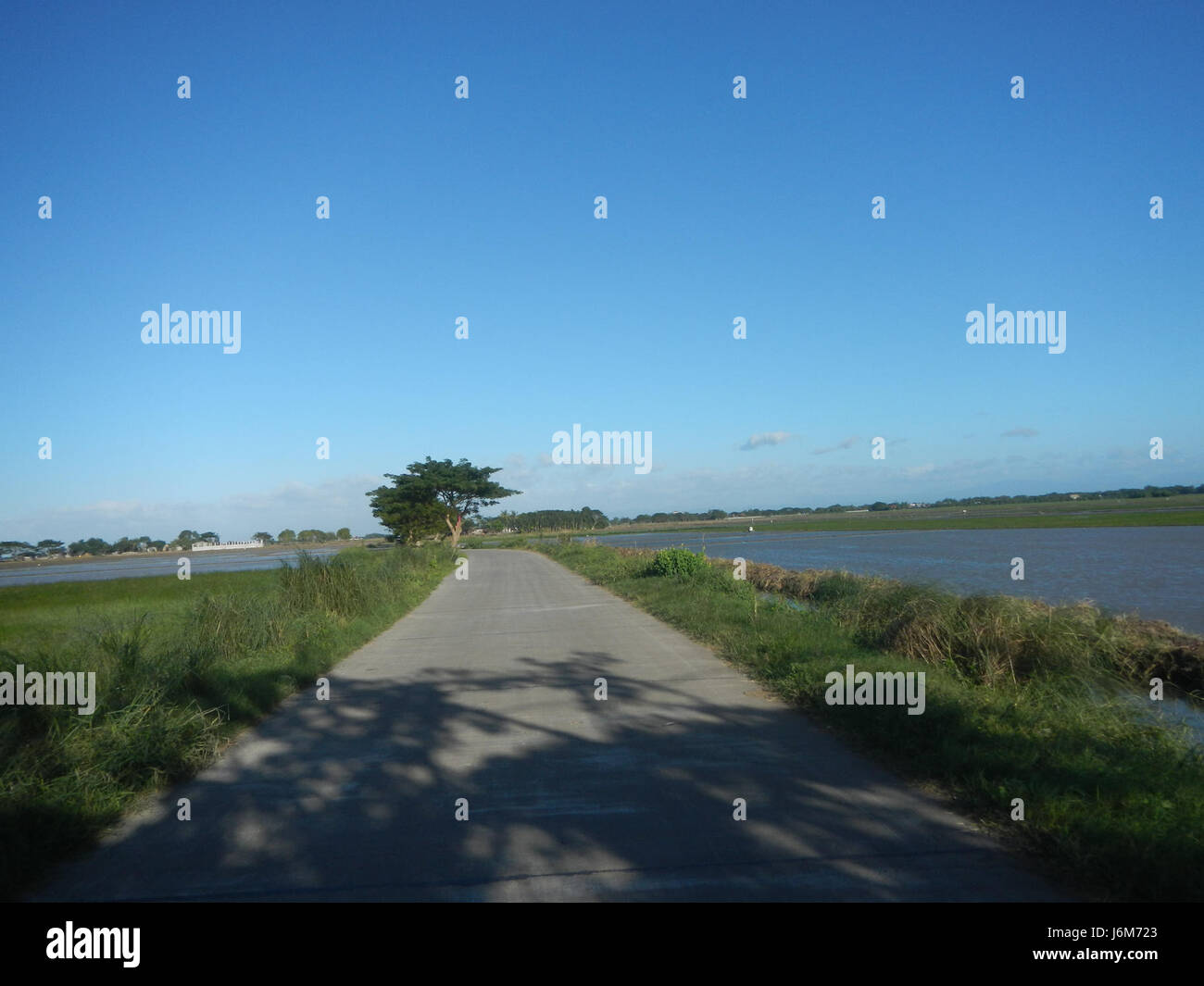 Naturalsetting hi-res stock photography and images - Alamy