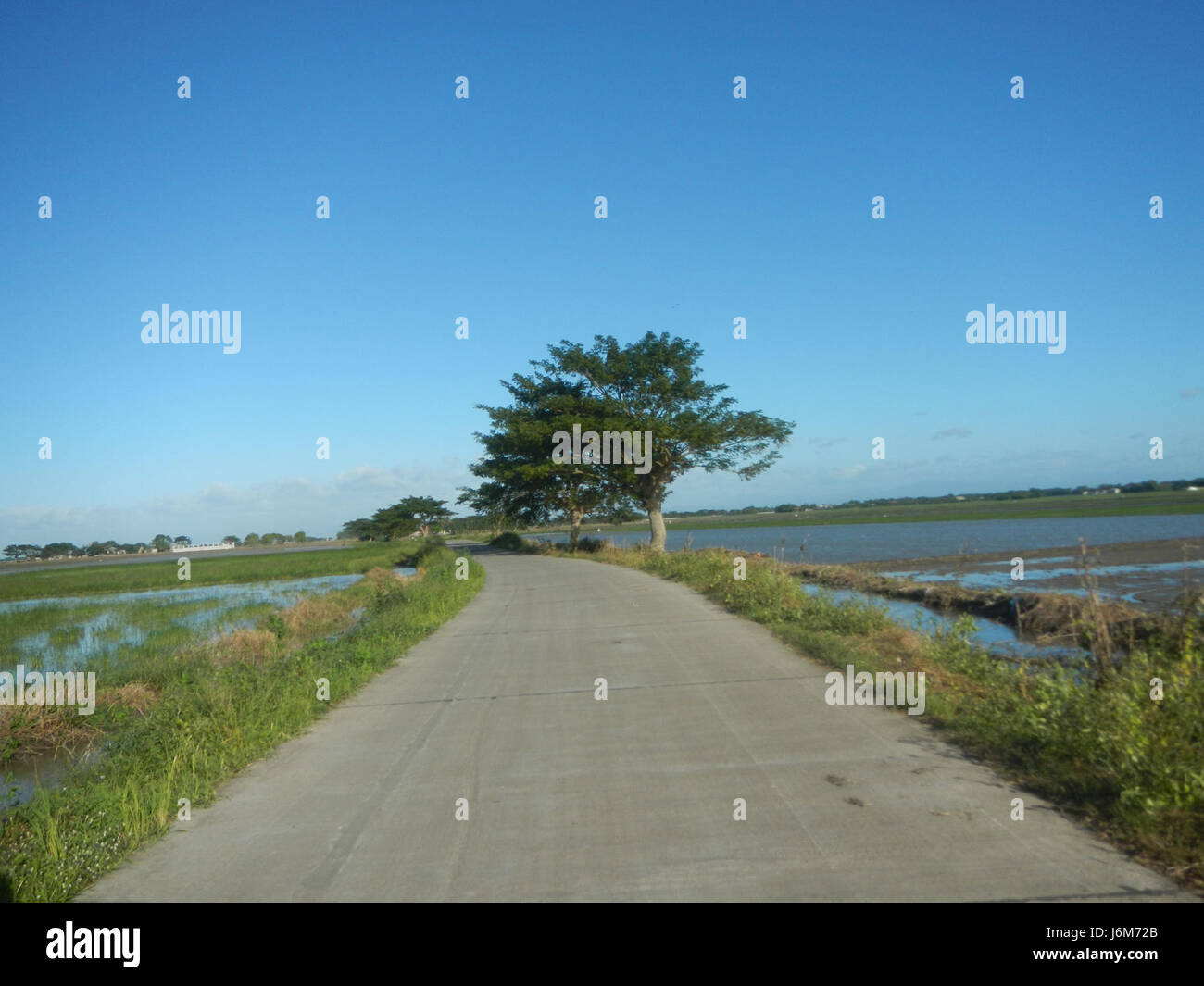An image of the paddy fields and grasslands in Balucuc, Apalit ...