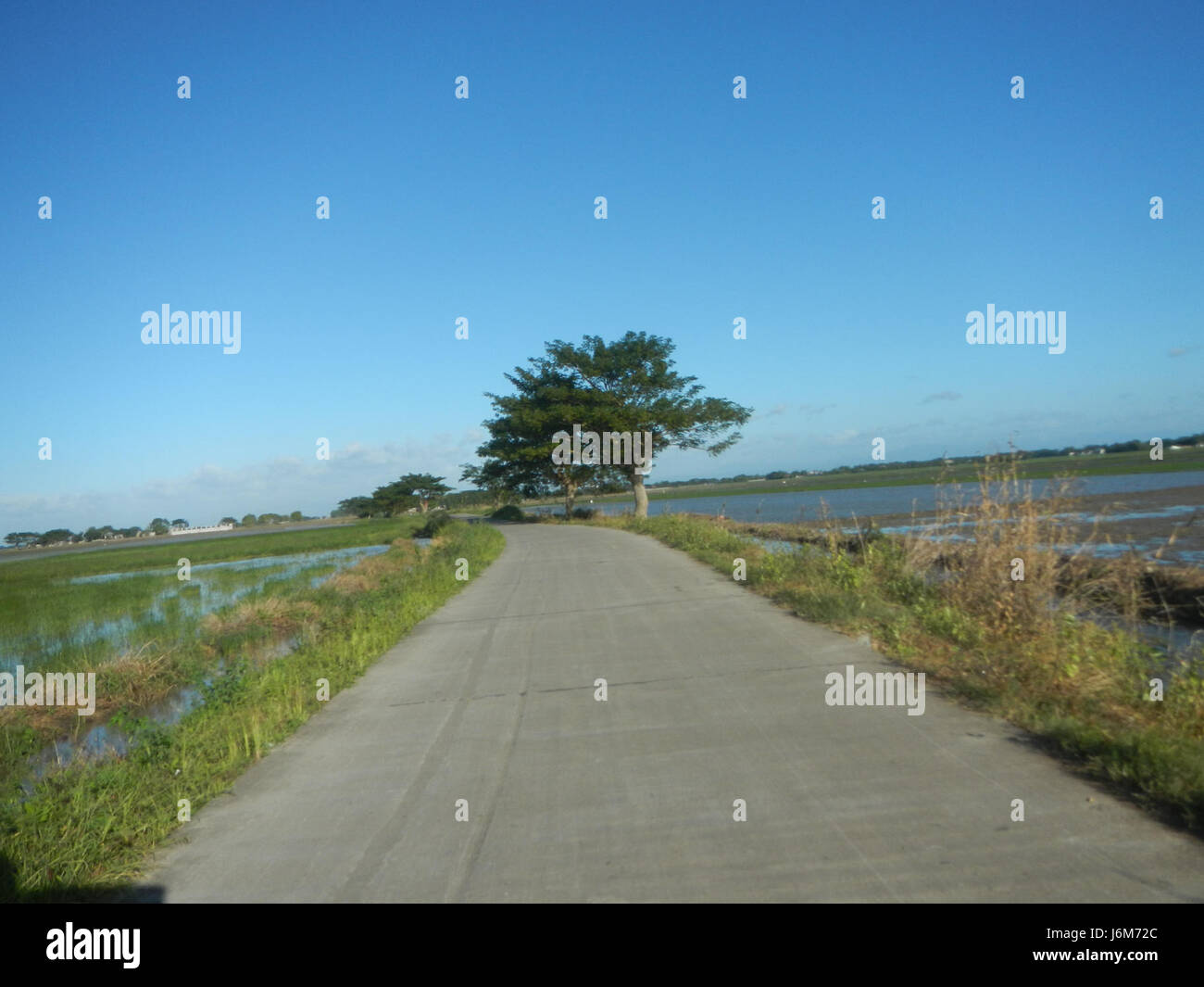 The landscape in Apalit, Pampanga features paddy fields, grasslands ...