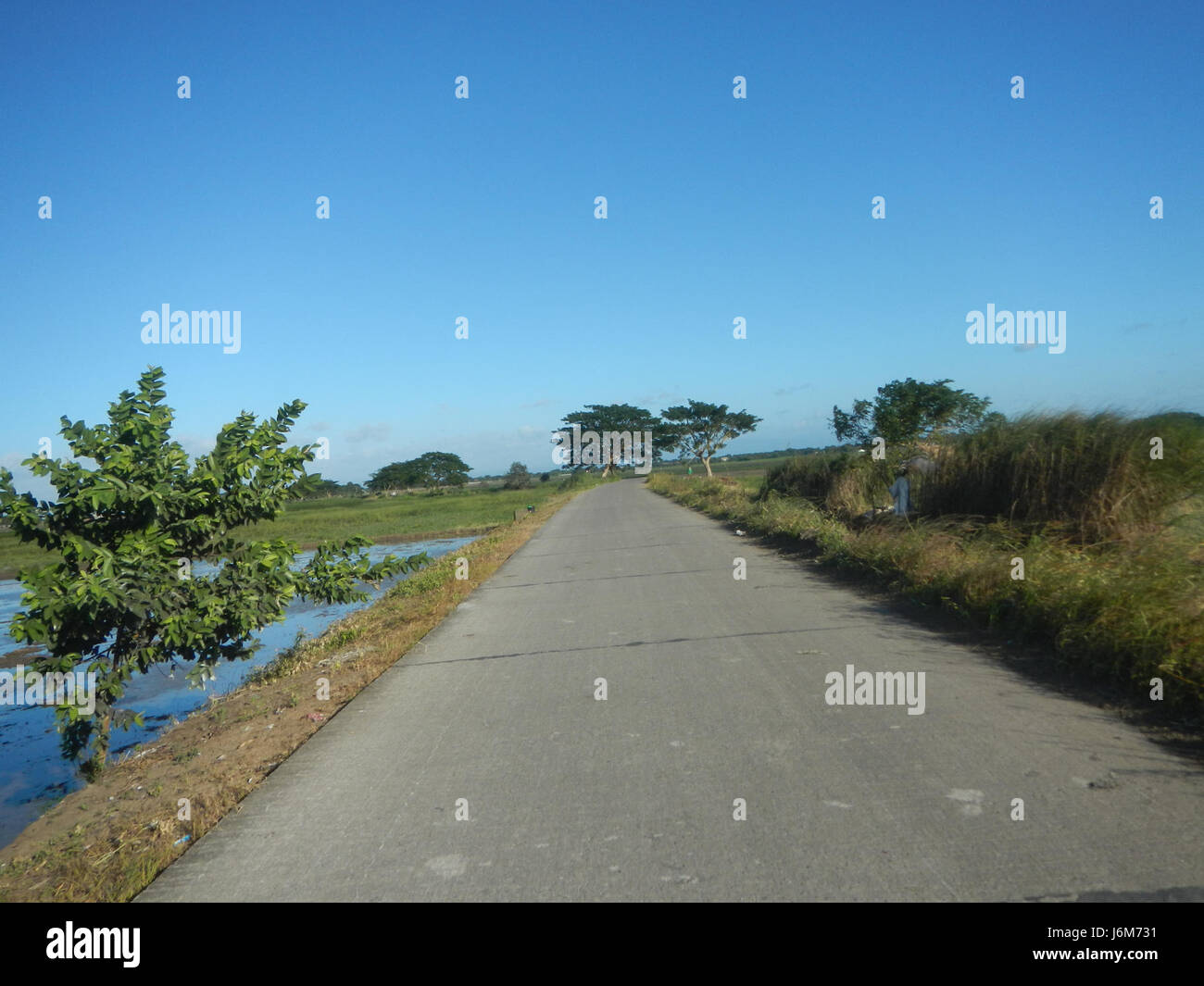 This image depicts the paddy fields of Balucuc in Apalit, Pampanga ...