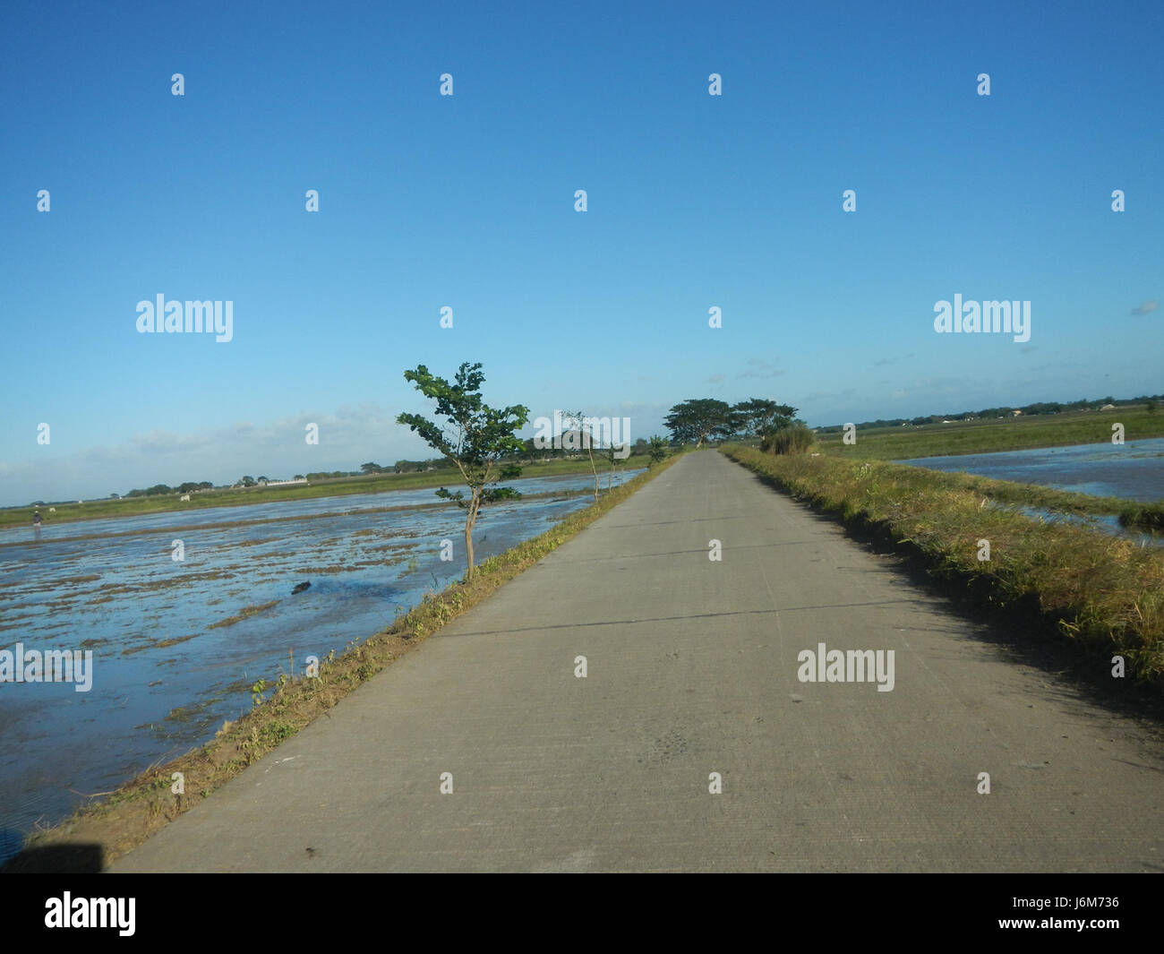 This image depicts the rural landscape of Balucuc, Apalit, Pampanga ...