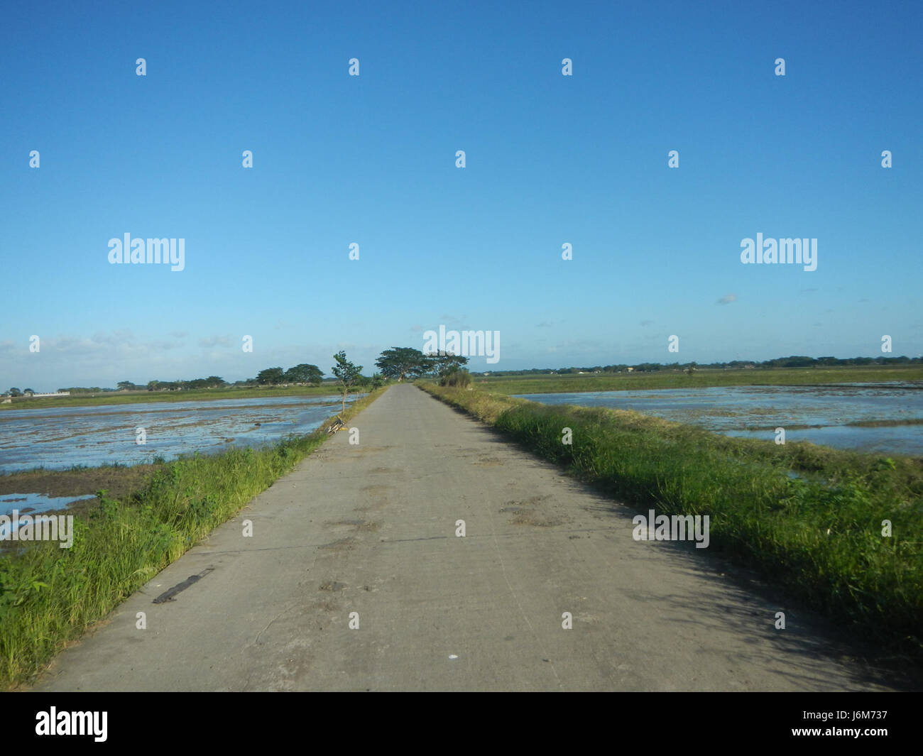 An image depicting the rural landscape of Balucuc, Apalit in Pampanga ...