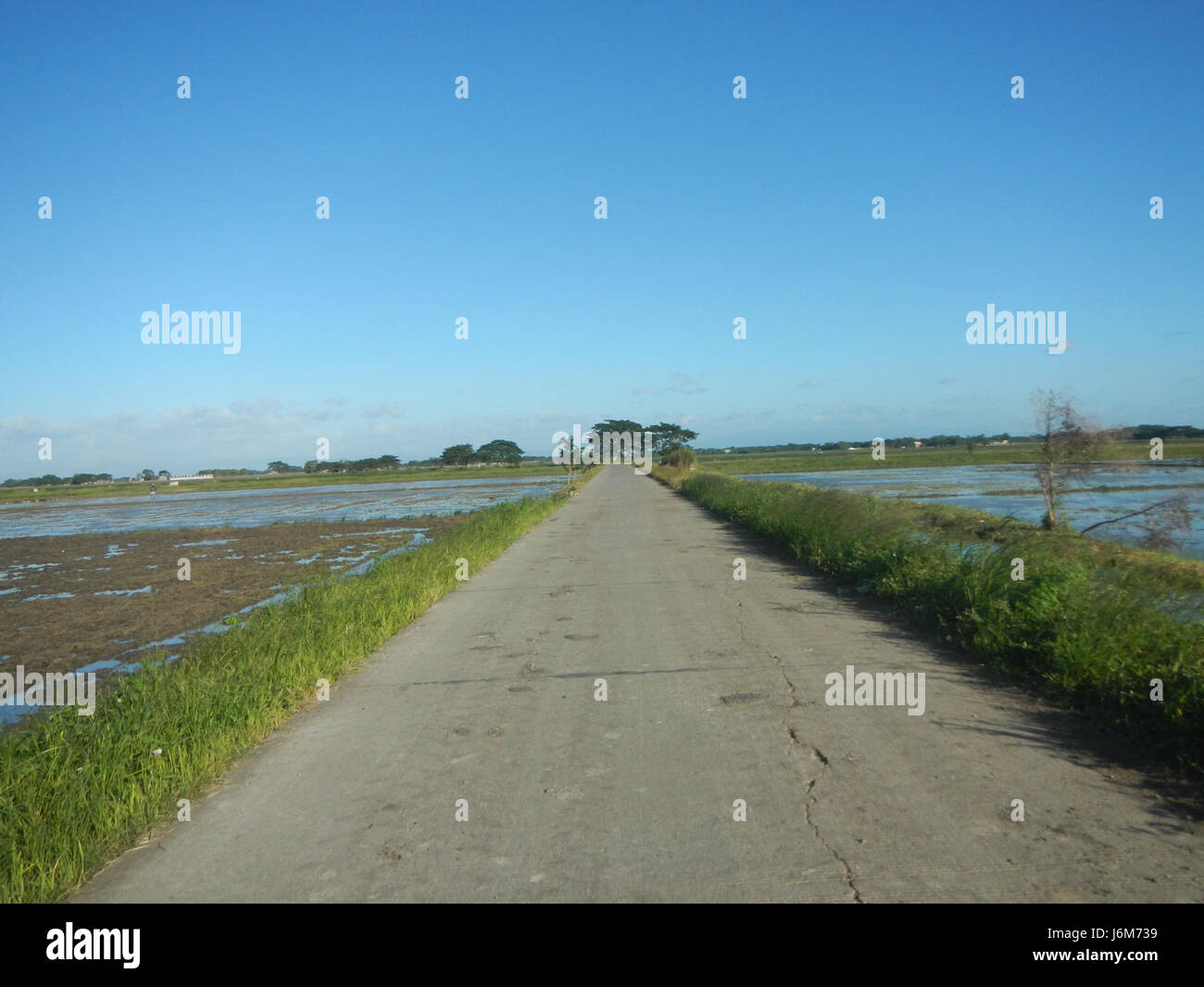 The image captures the rural landscape of Balucuc in Apalit, Pampanga ...