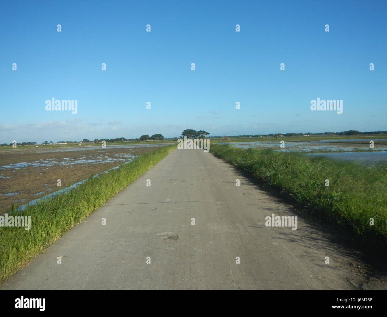 An overview of the rural landscape in Balucuc, Apalit, Pampanga ...