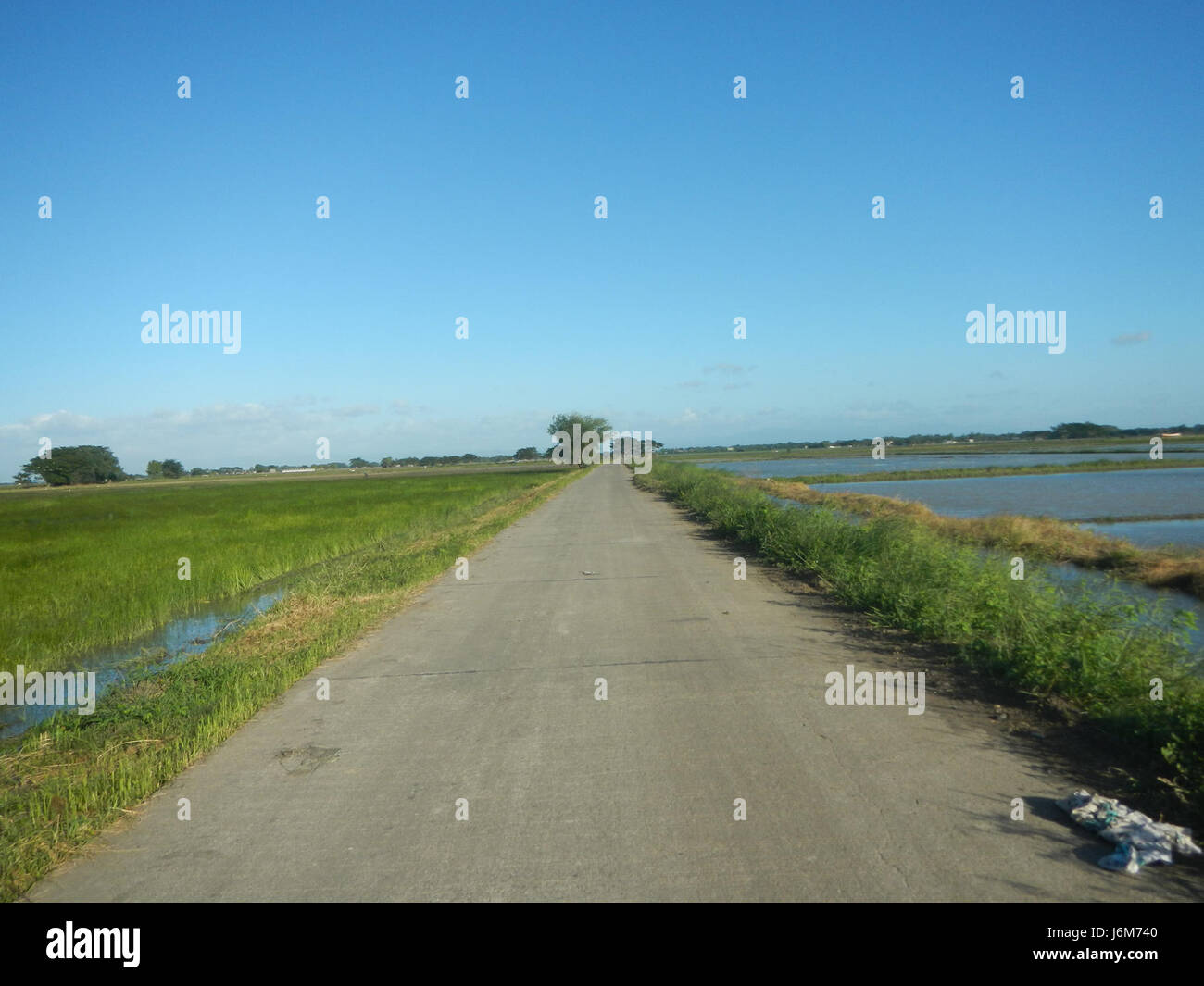 This photograph captures a rural scene from Balucuc, Apalit in Pampanga ...