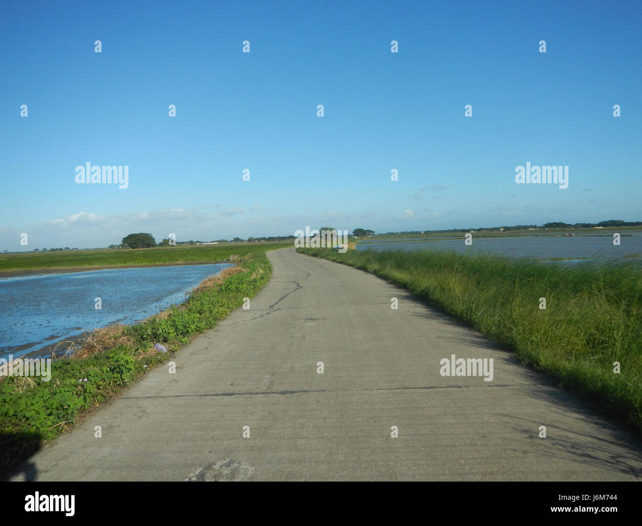 This scene depicts agricultural life in Balucuc, Apalit, Pampanga ...