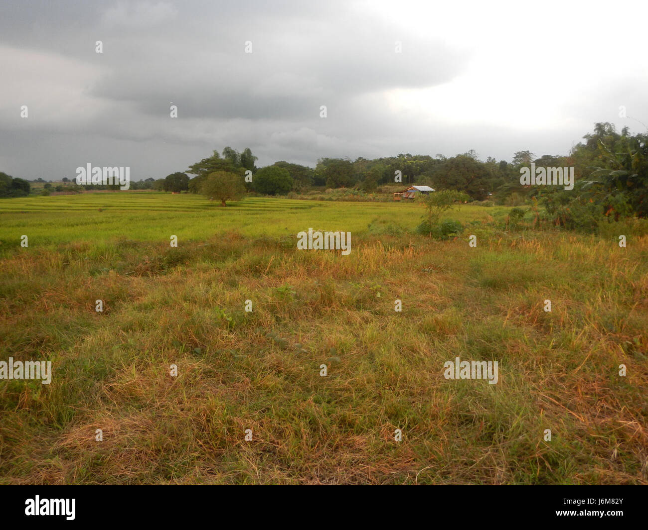 This entry references a rural area in San Ildefonso, Bulacan ...