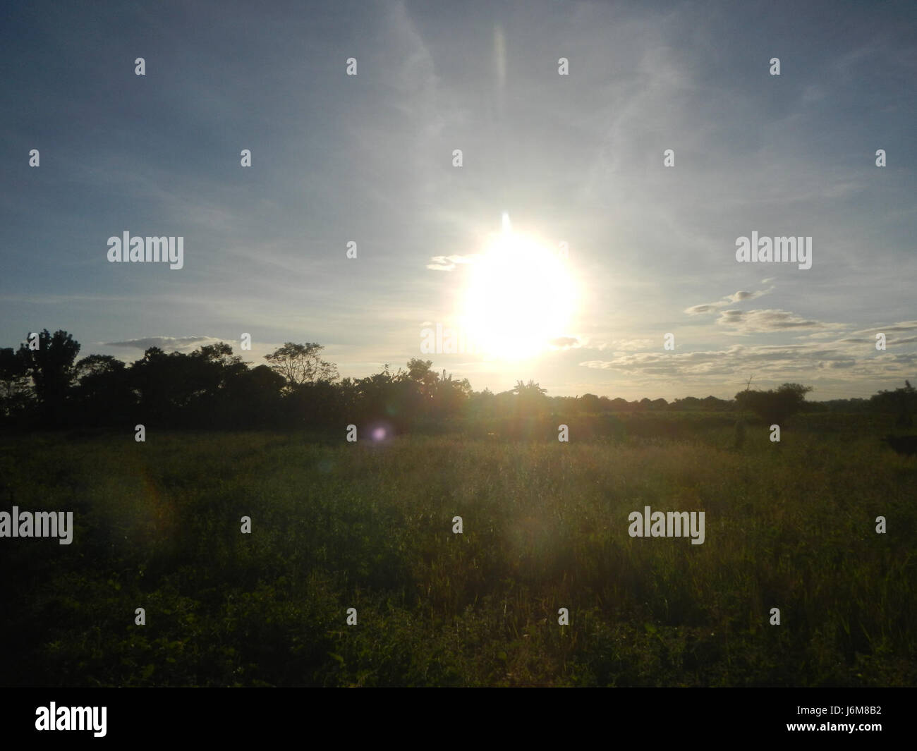 Crop_rotation hi-res stock photography and images - Alamy