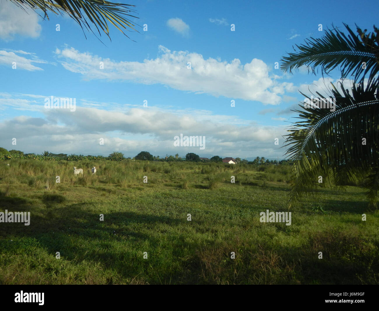 The Maharlika Highway in Cagayan Valley, passing through Sacdalan and ...