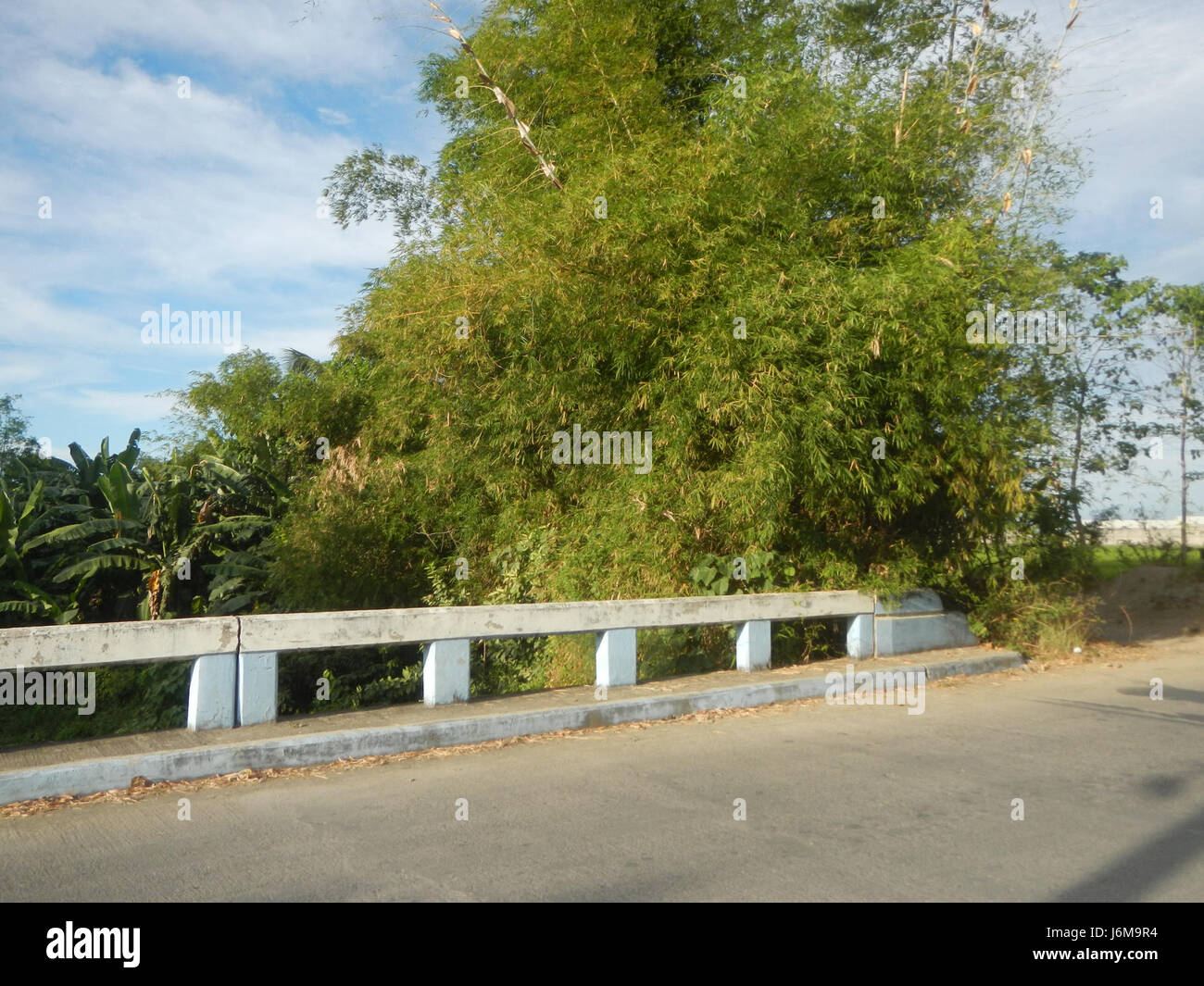 Sumacab This image depicts the agricultural landscape of Sumacab Sur Norte in ...