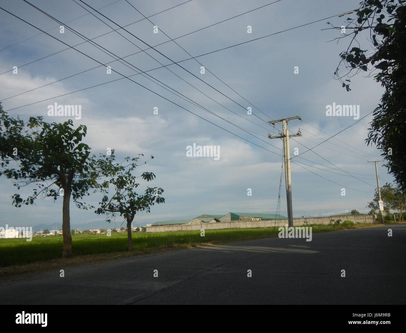 Sumacab This image depicts the lush, green paddy fields and grasslands in ...