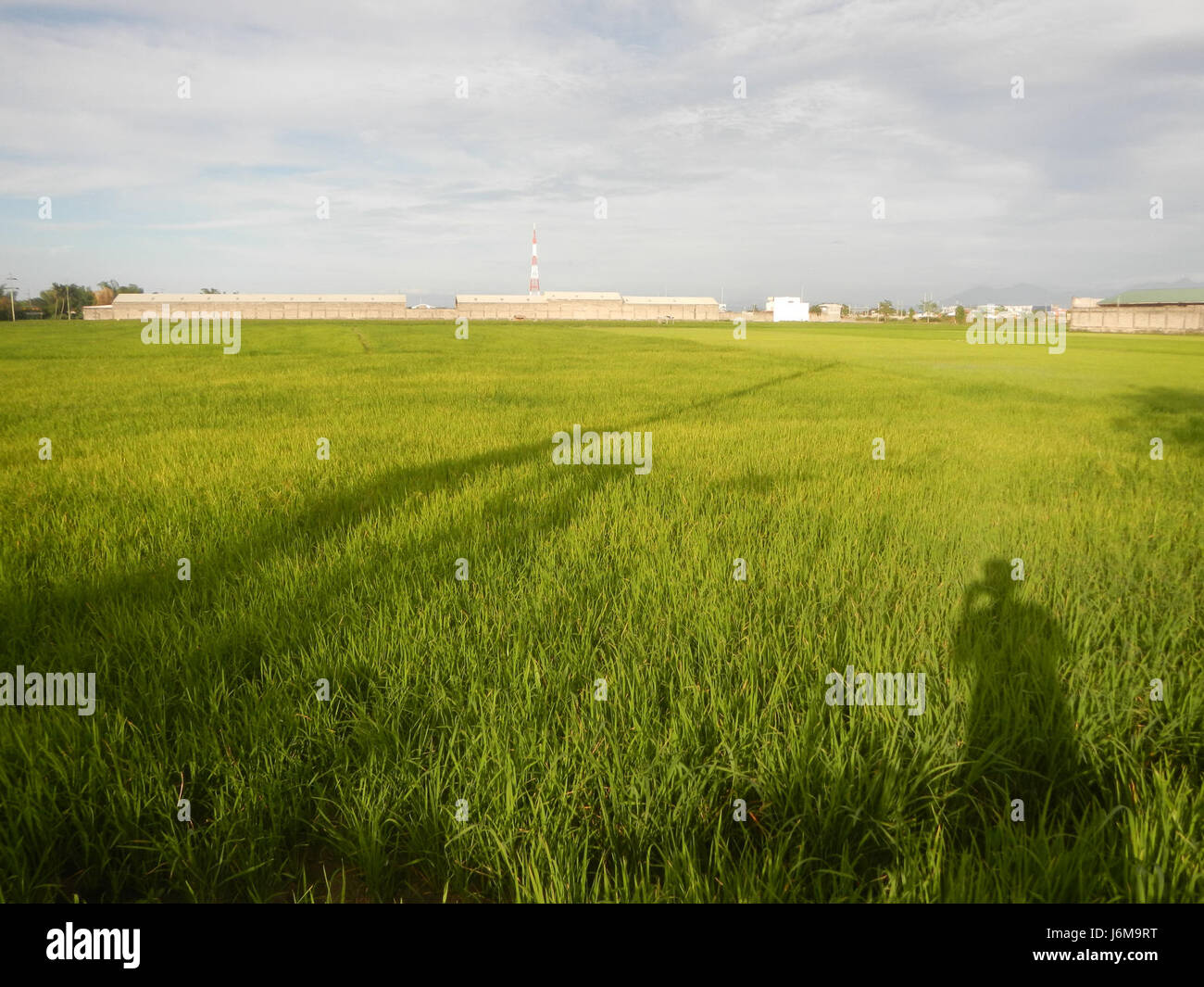 Sumacab This reference describes agricultural fields and grasslands in the ...
