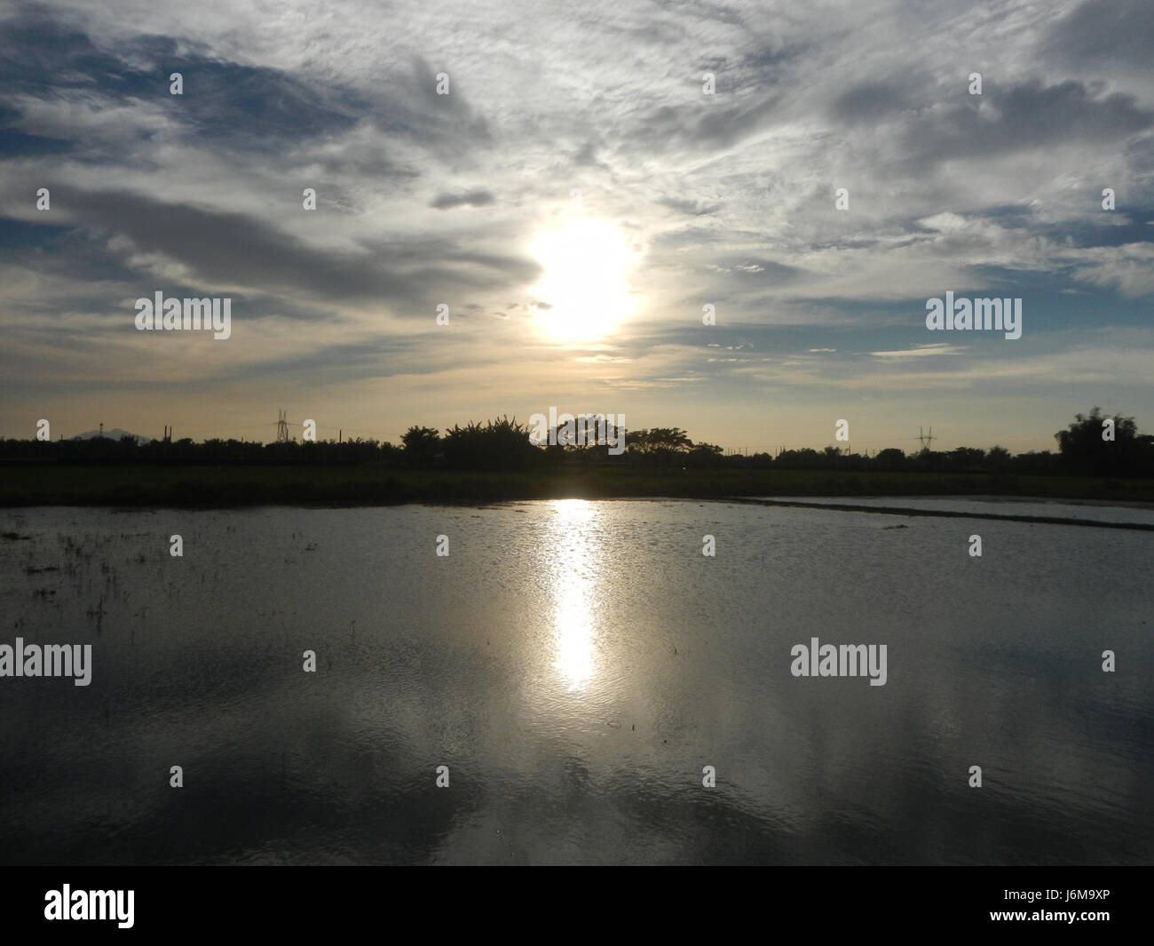 Sumacab A photograph capturing the scenic paddy fields and grasslands of ...