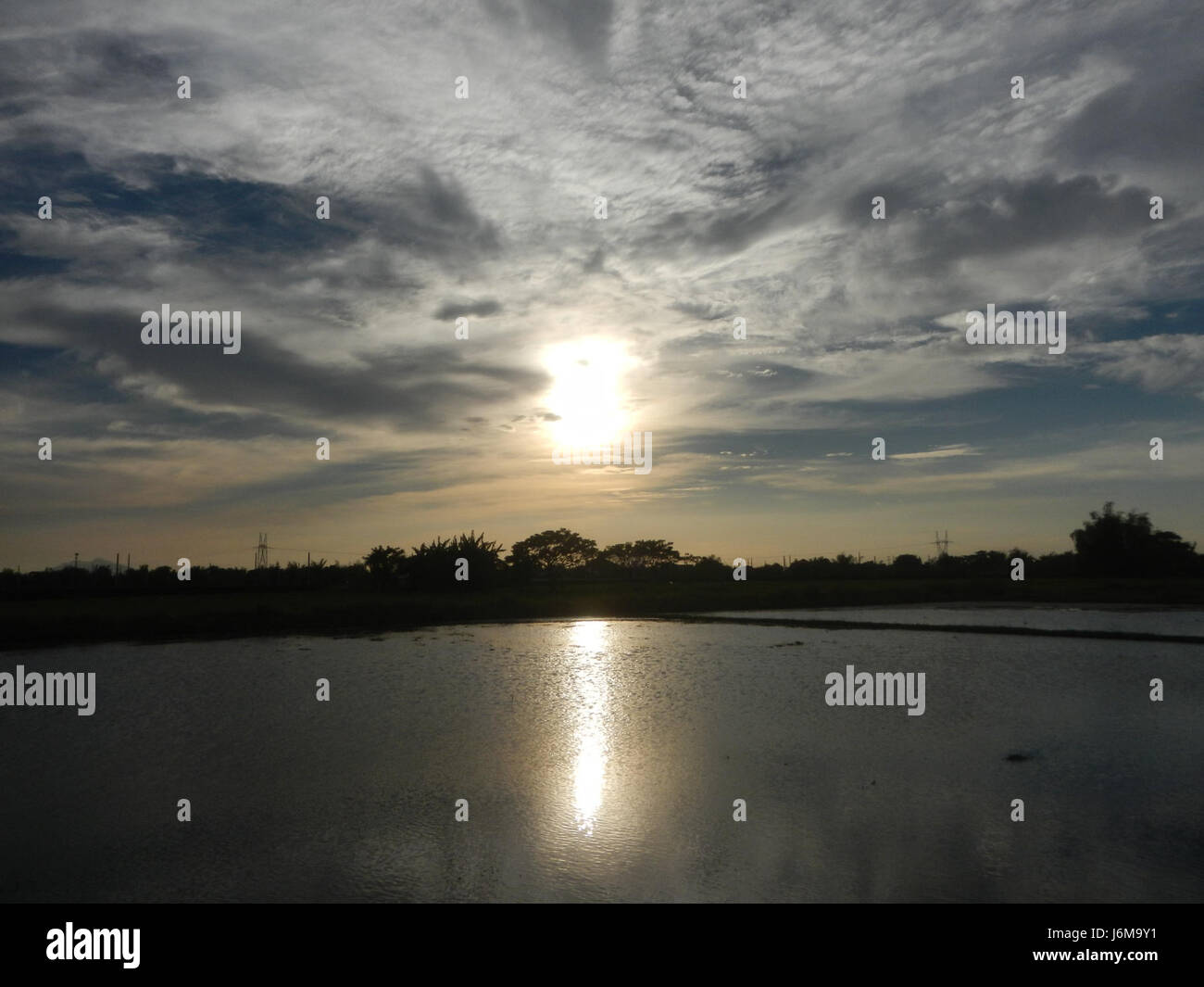 Sumacab Sumacab Sur Norte in Cabanatuan City is an area characterized by ...