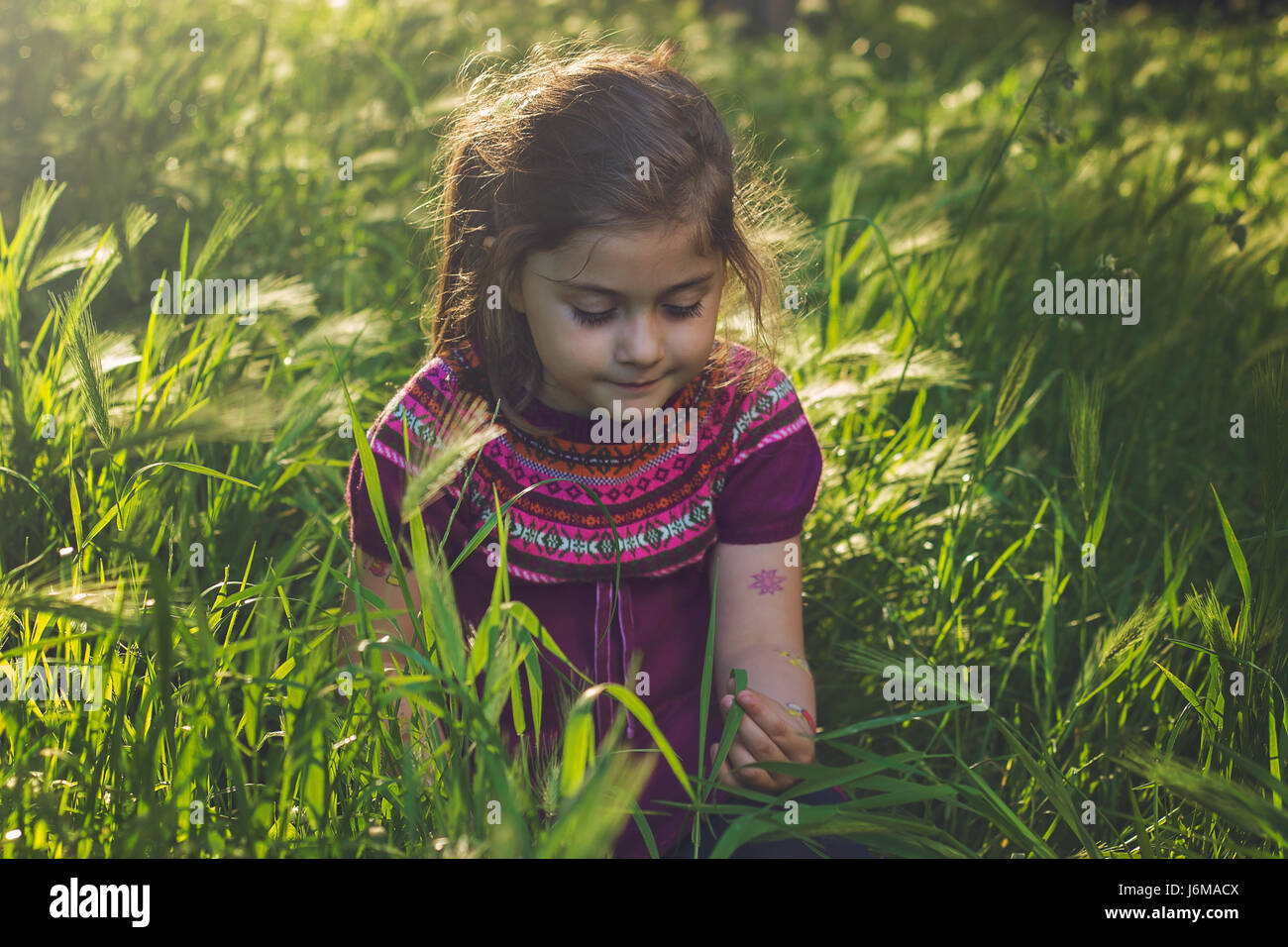 Beautiful little girl sitting in the grass on sunset Stock Photo - Alamy