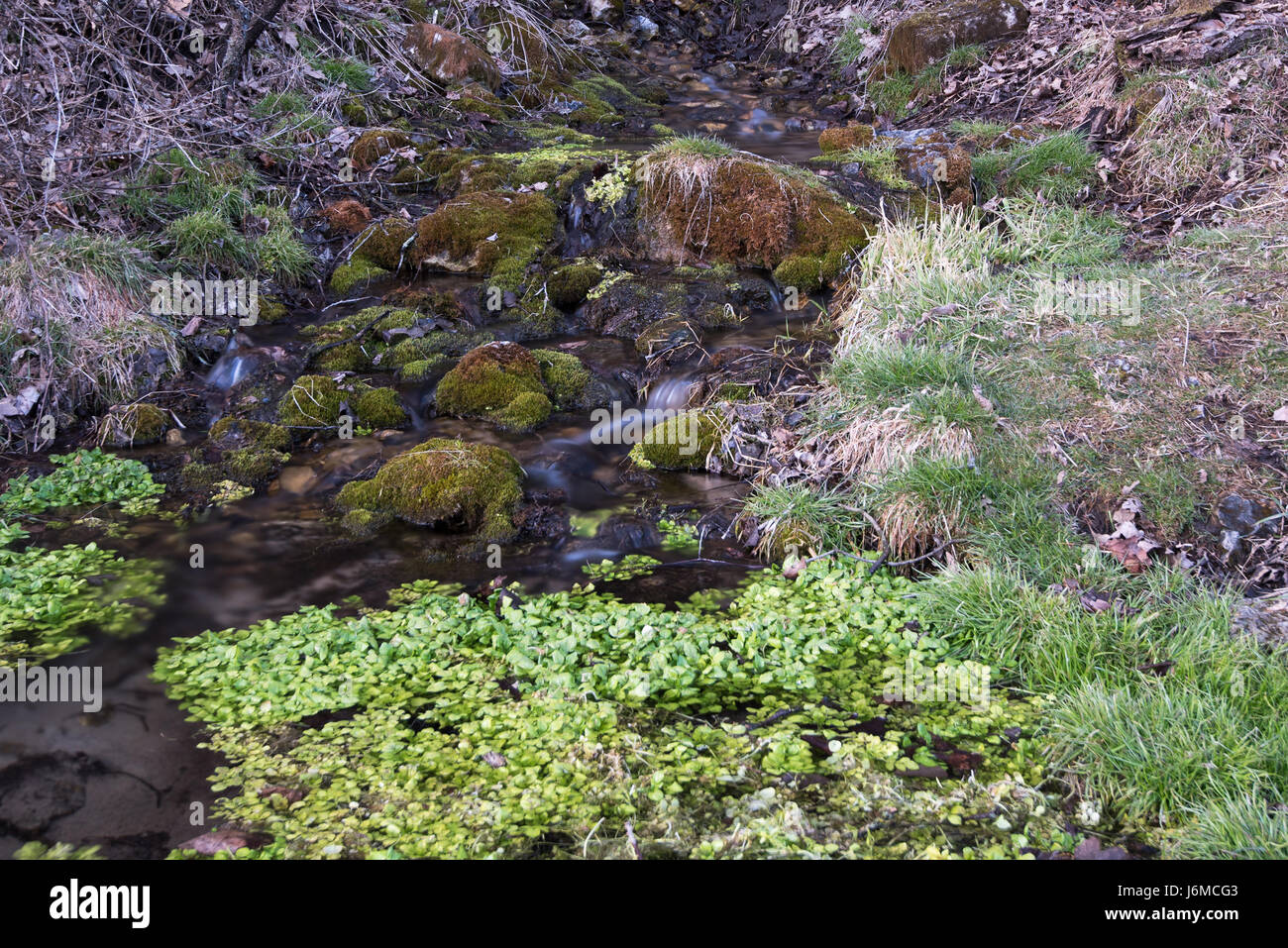 Spring Water From Rocks Water from a spring hi-res stock photography and images - Alamy