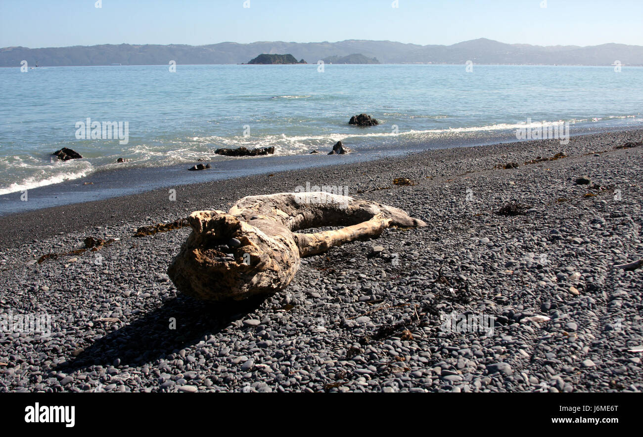 wood beach seaside the beach seashore gravel coast silicic wreck bank stones Stock Photo