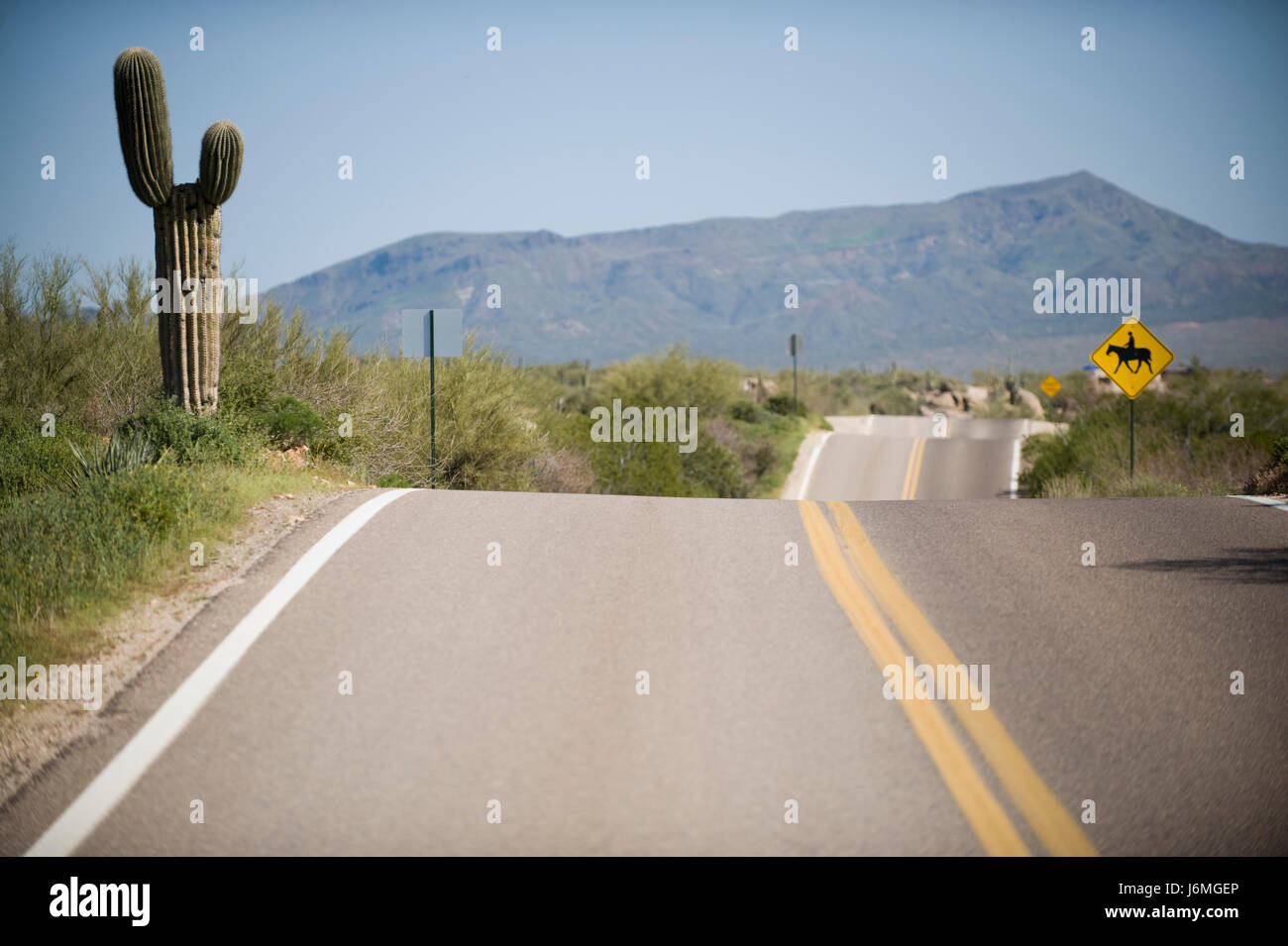 desert wasteland road street hill desert wasteland usa arizona cactus sign  hump Stock Photo - Alamy