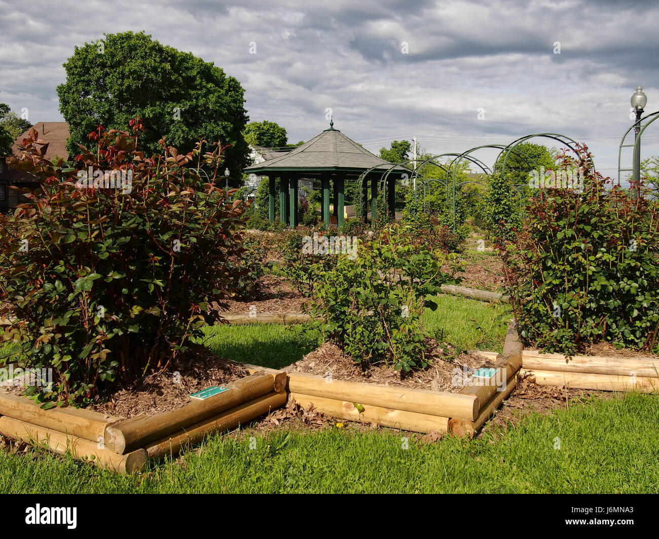 The gazebo in rose garden hi-res stock photography and images - Alamy